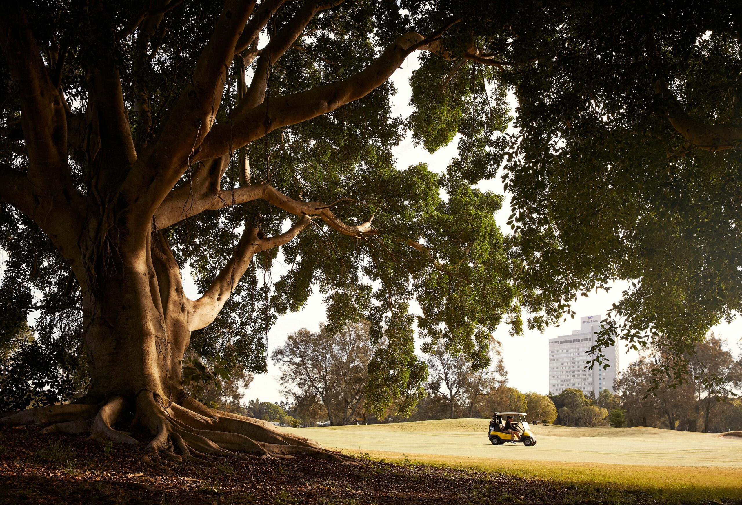 RACV Royal Pines Resort Gold Coast