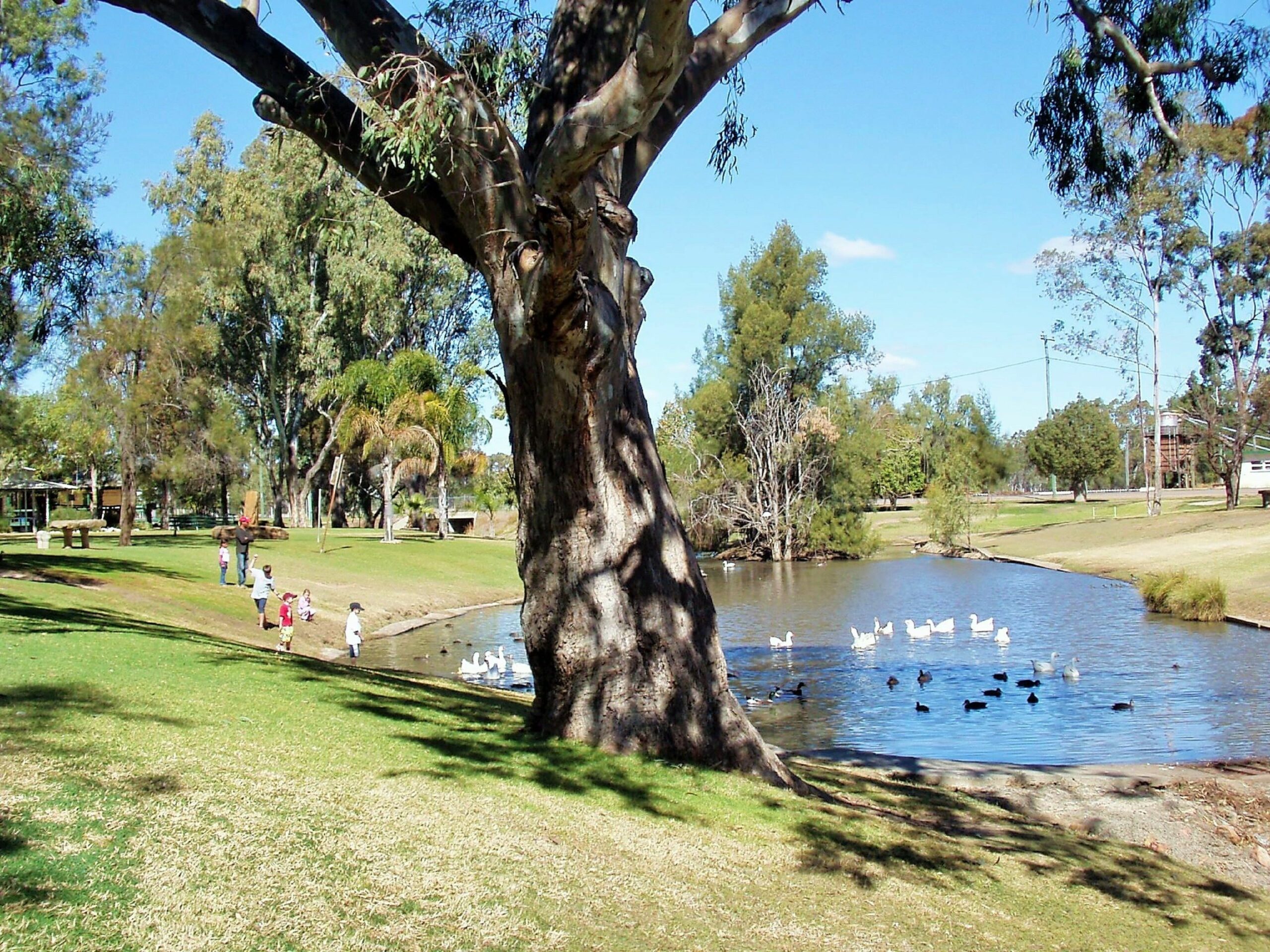 Best Western Bungil Creek Motel