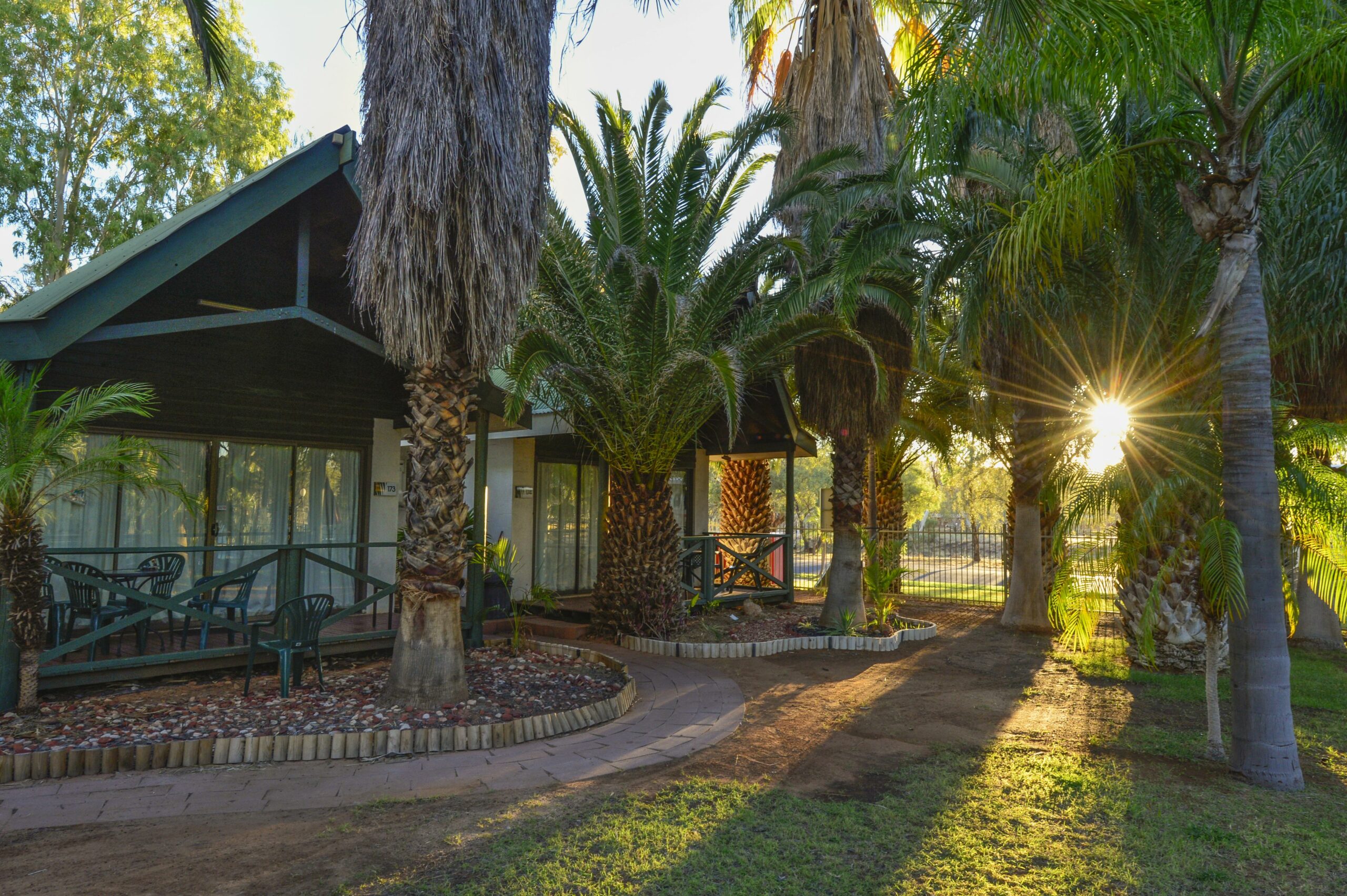 Desert Palms Alice Springs