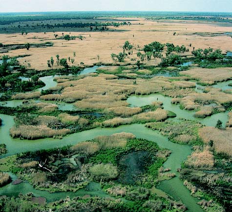 7 Days Broken Hill Tibooburra White Cliffs Bourke Darling River Macquarie Marshes NSW Outback