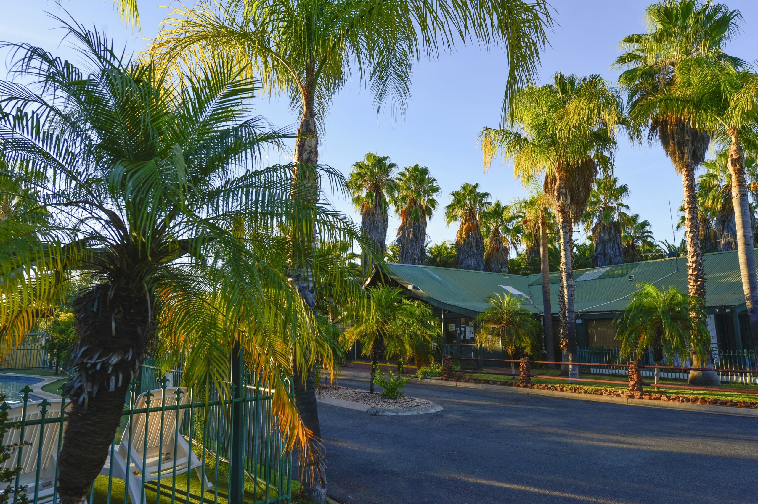 Desert Palms Alice Springs