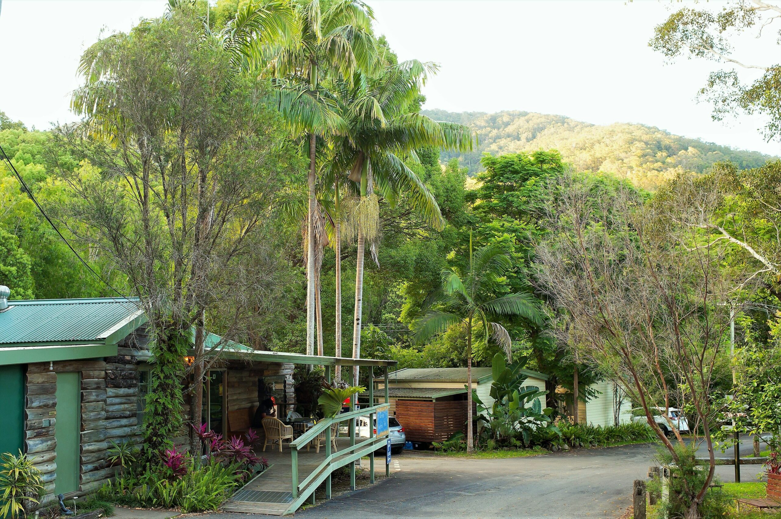 Mt Warning Rainforest Park