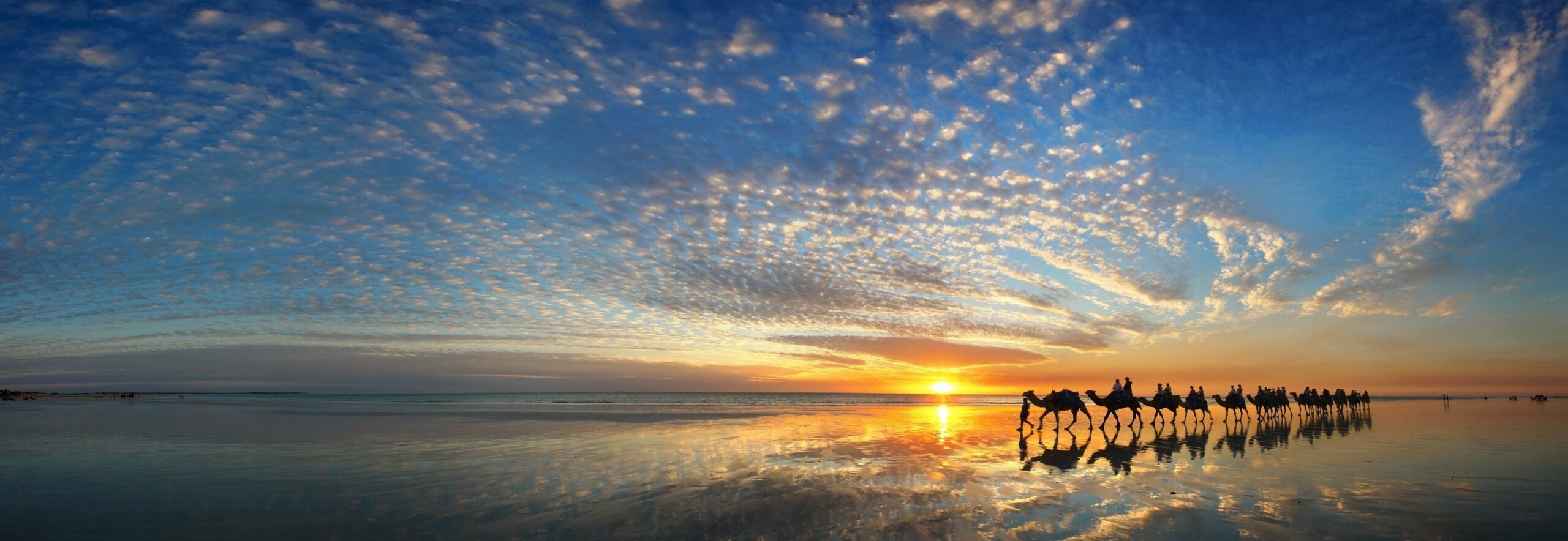 The Pearle of Cable Beach