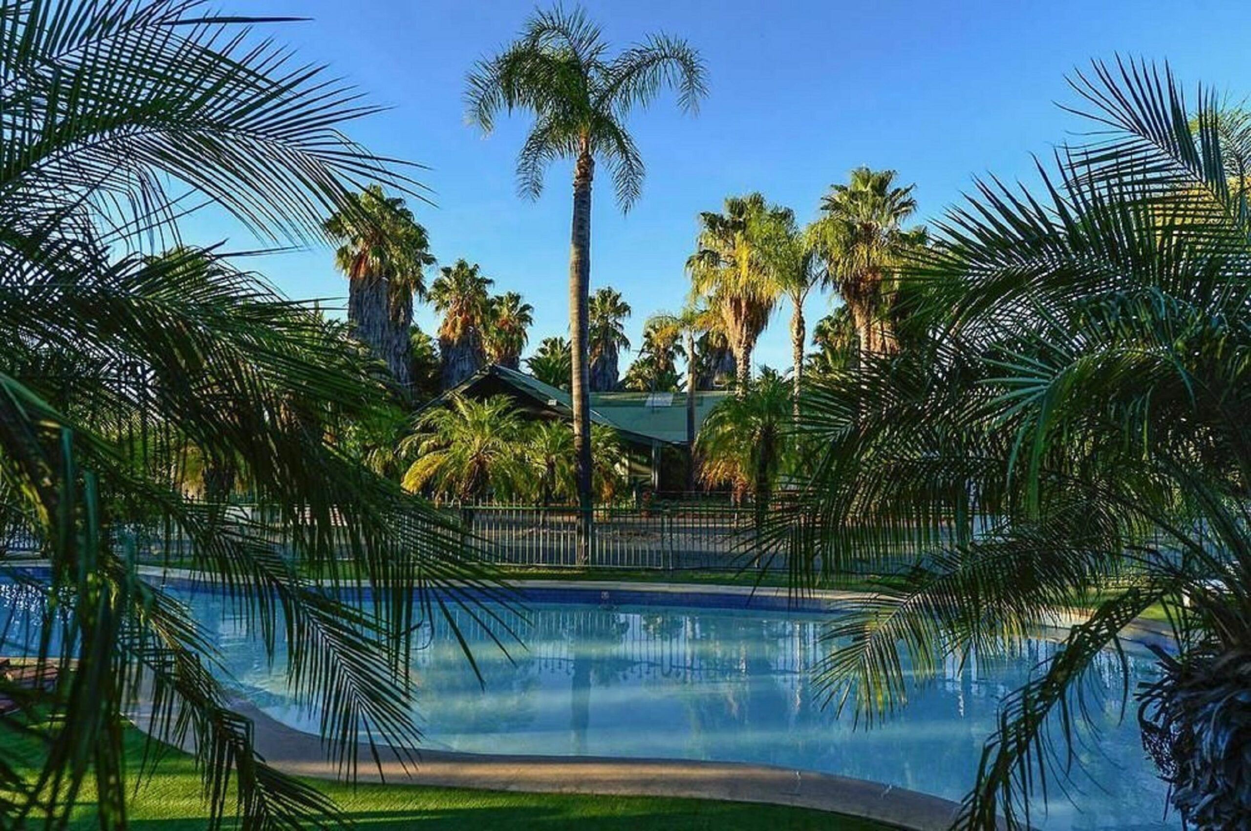 Desert Palms Alice Springs