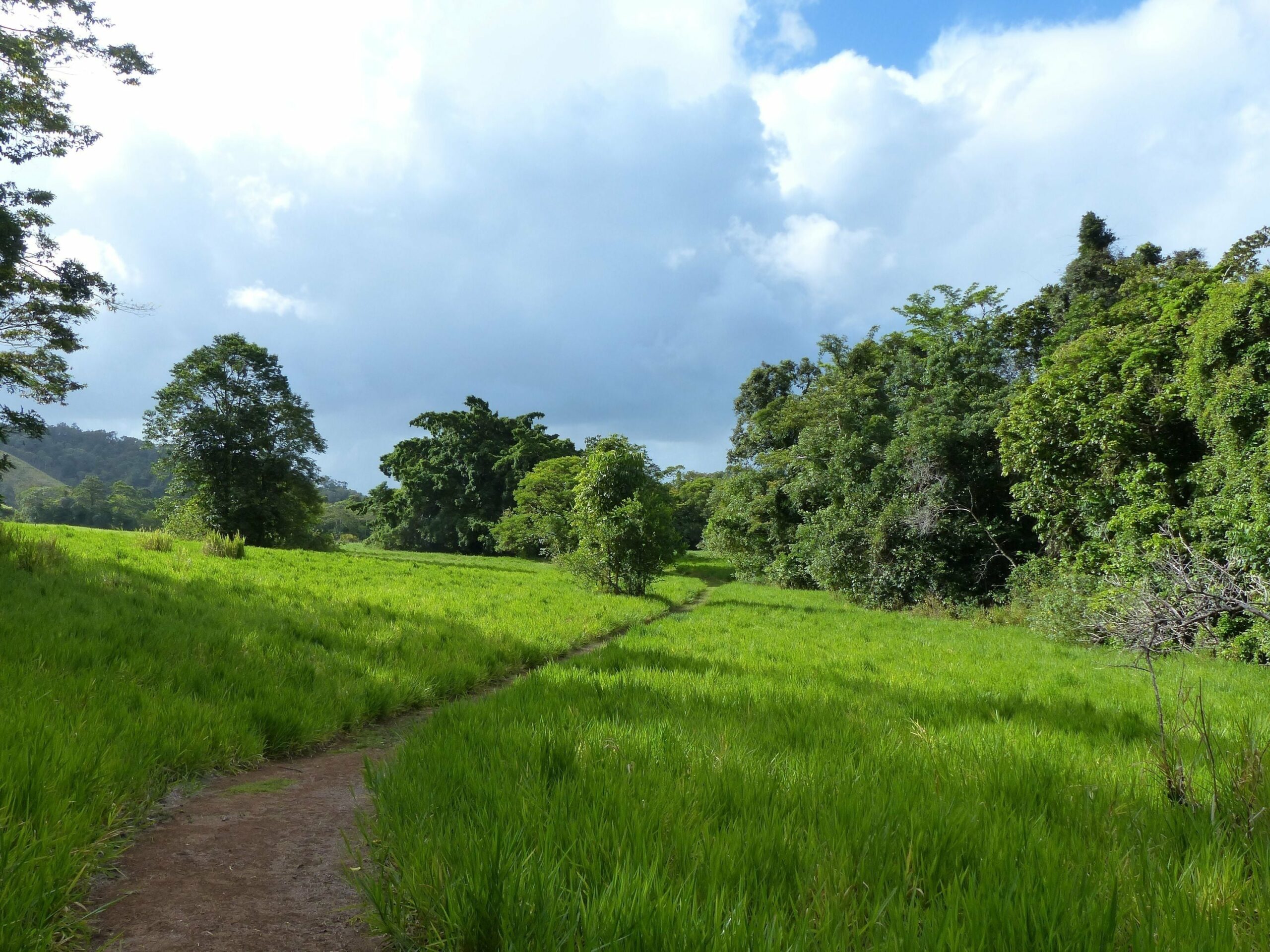 Daintree Valley Haven