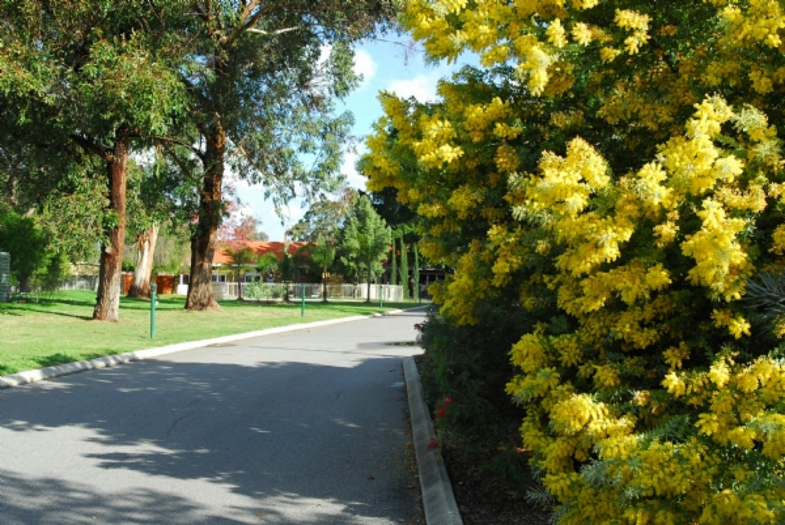 Wattle Grove Motel