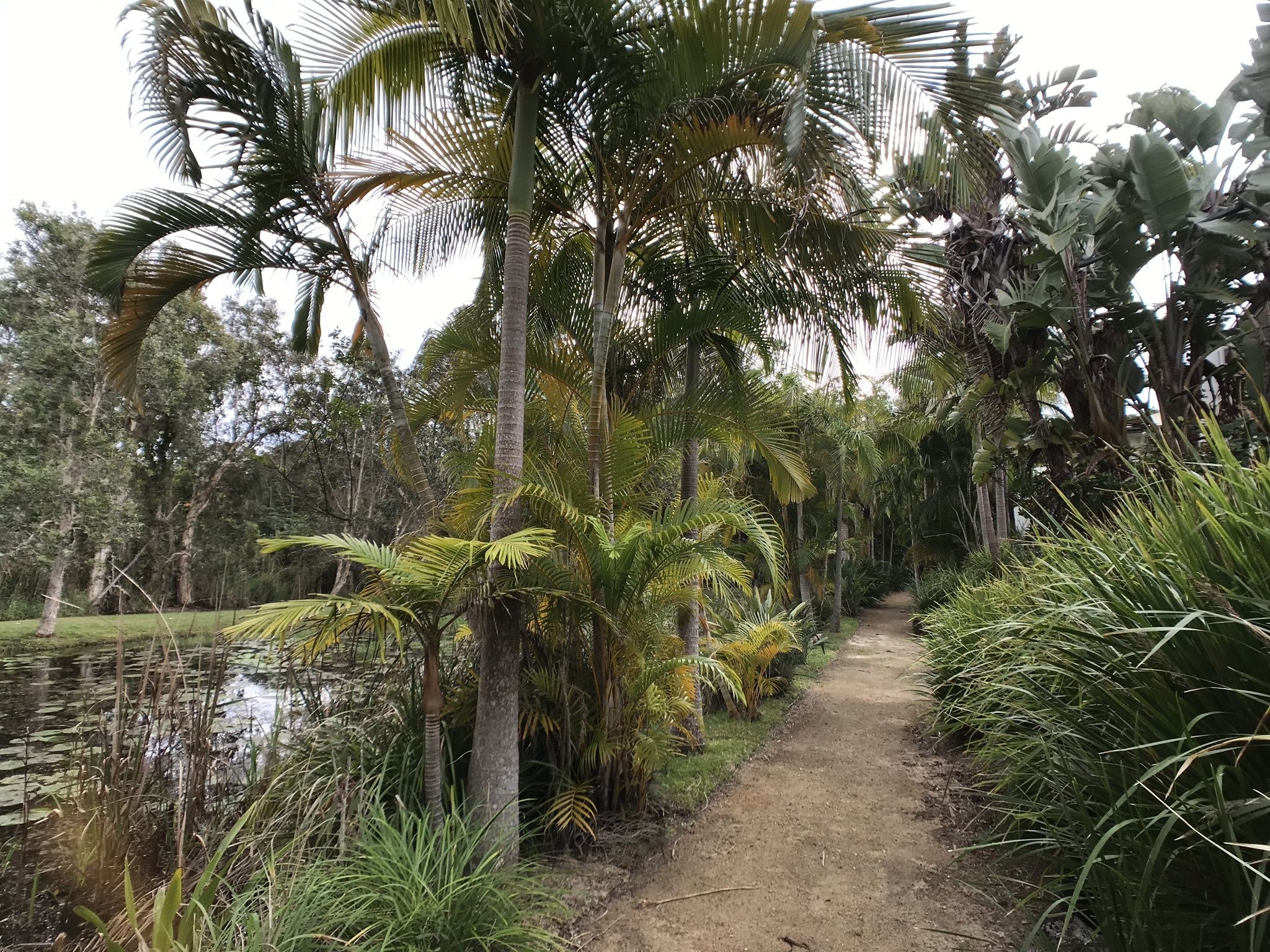 Treetops Lakeside Guesthouse