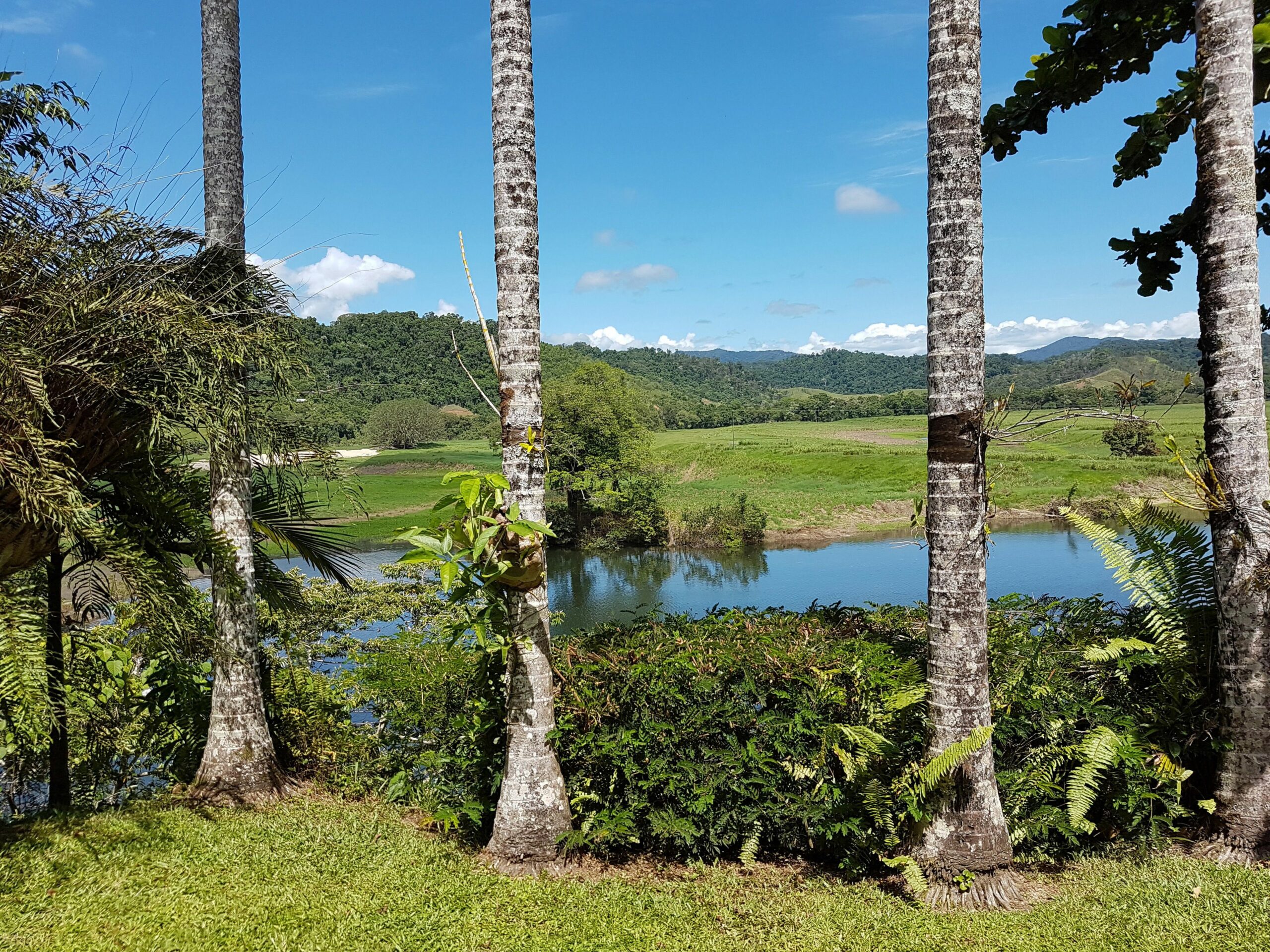 Daintree Village Bed and Breakfast