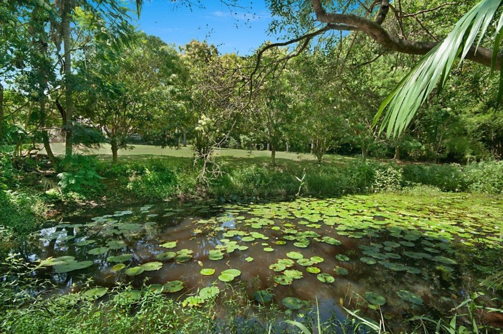 Bogan VIlla - couples escape with pool on the edge of Byron