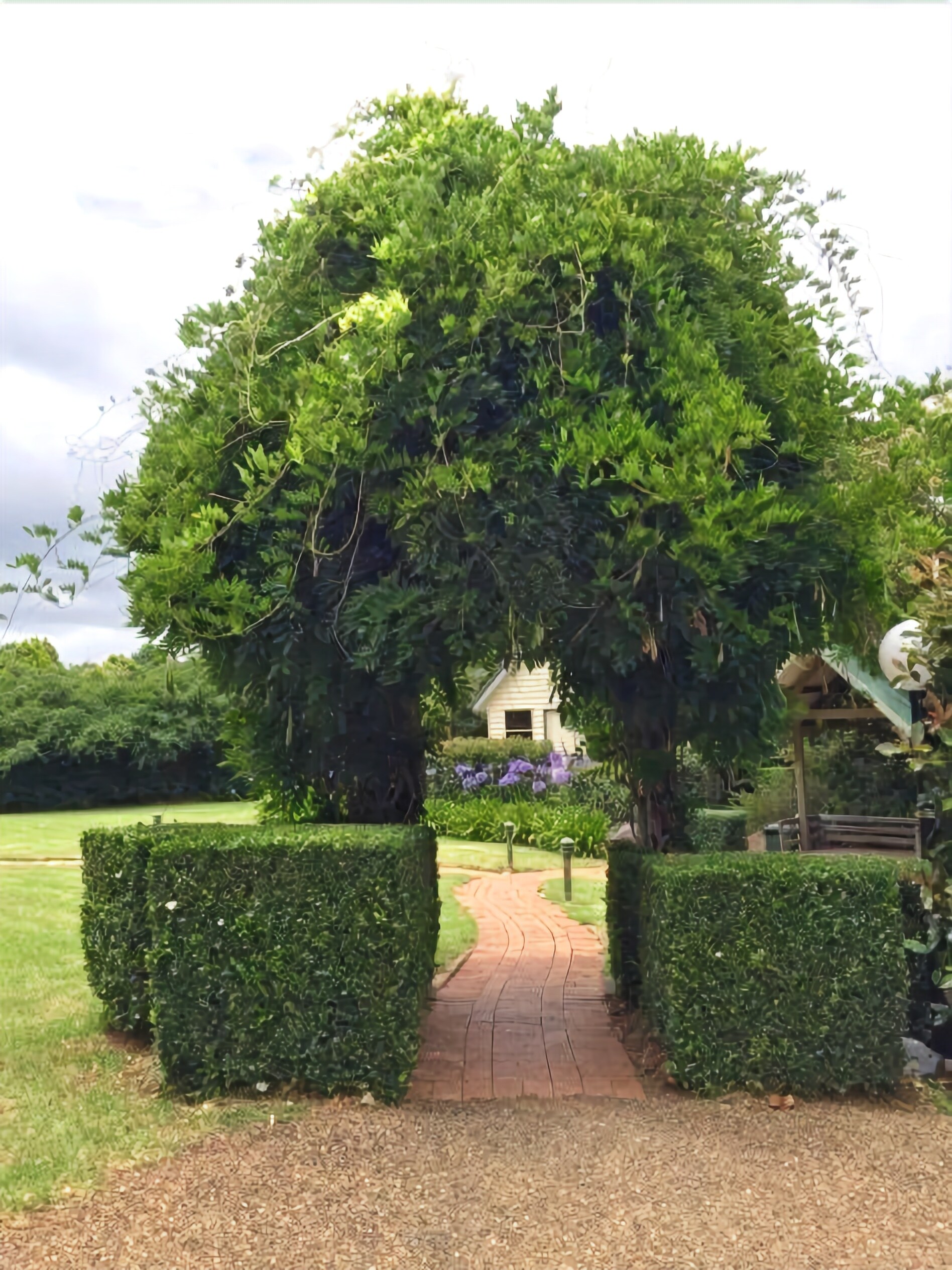 Tamborine Gardens