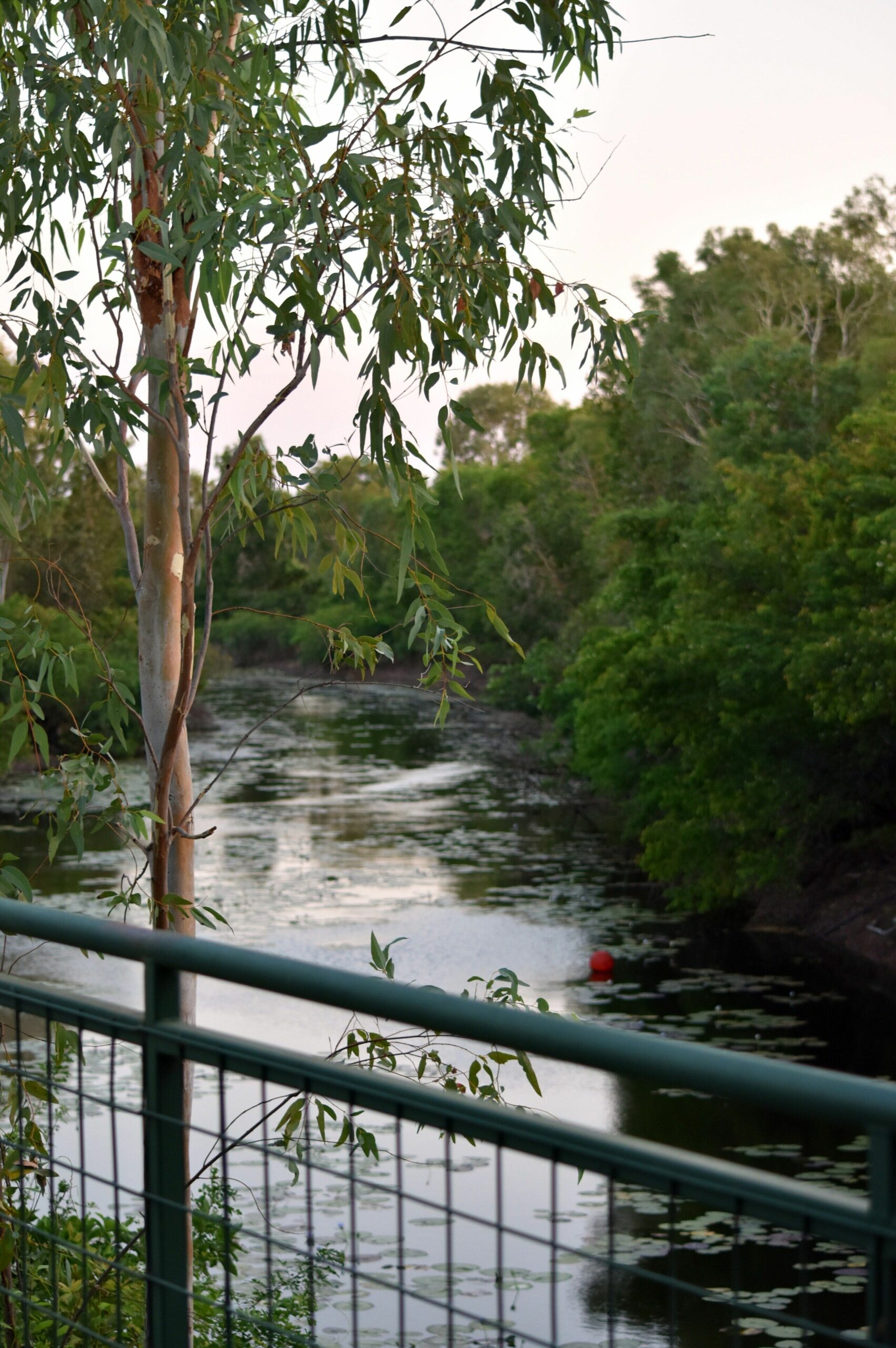 Parry Creek Farm Tourist Resort & Caravan Park