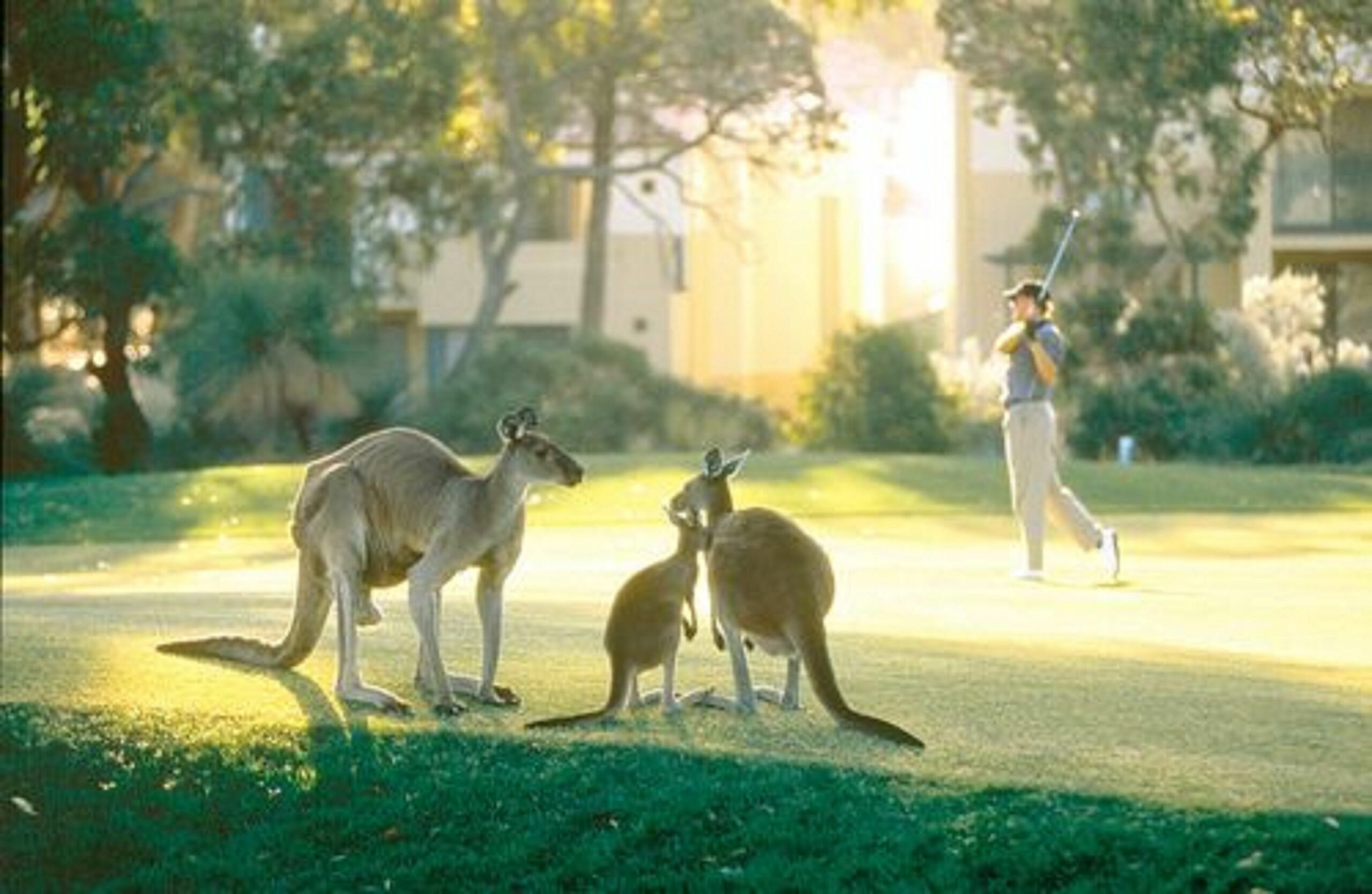 Joondalup Resort