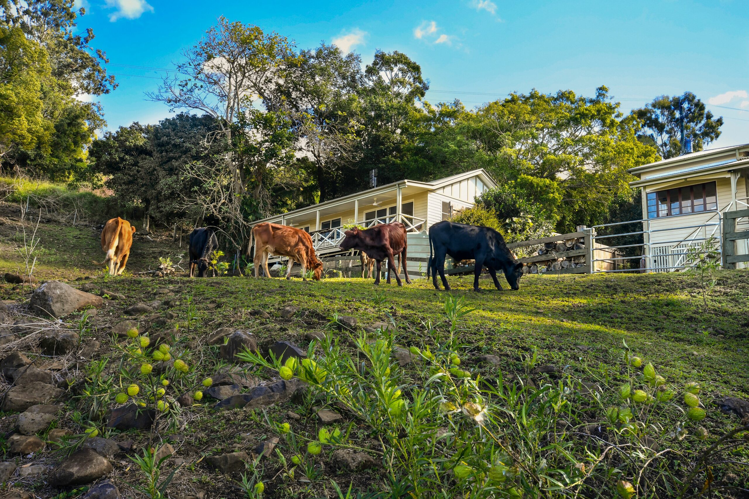 Maleny Coastal Views Retreat