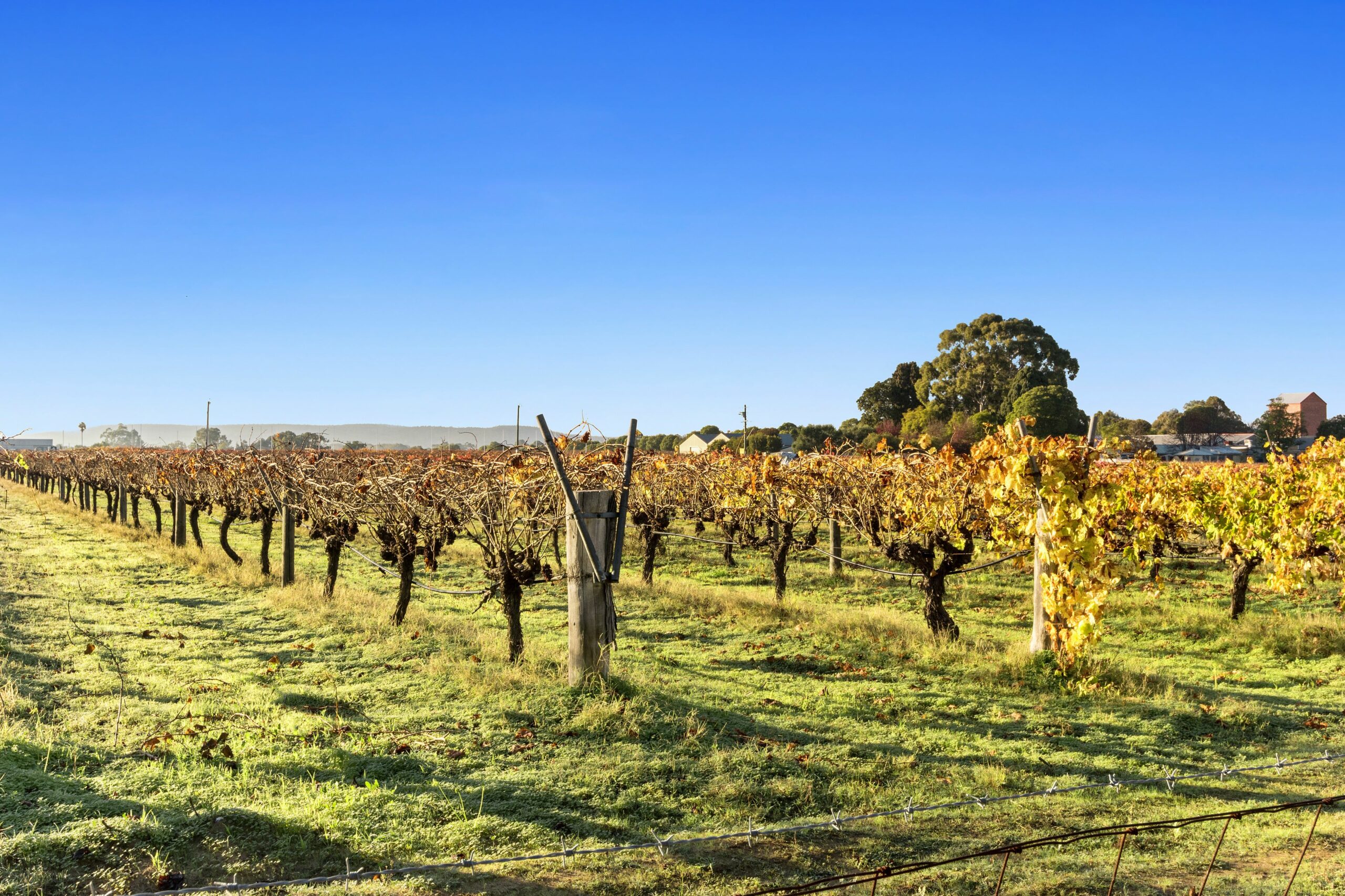 Discovery Parks - Swan Valley