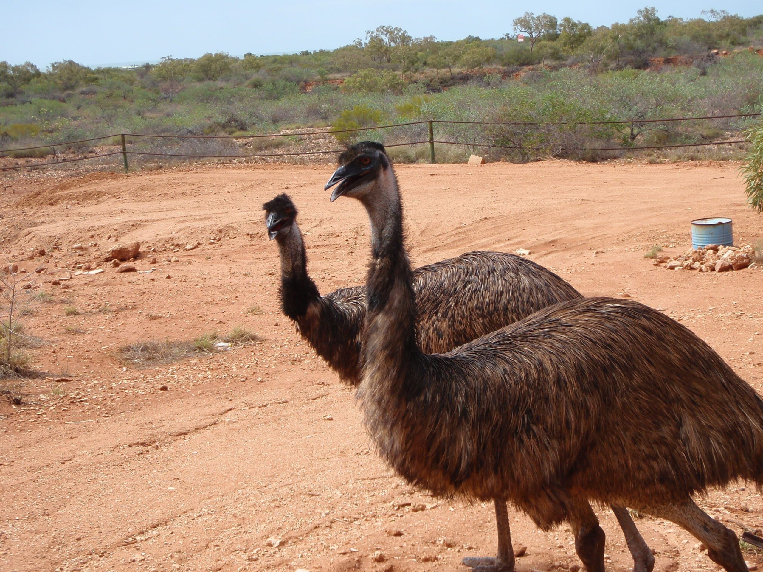 Ningaloo Bed and Breakfast