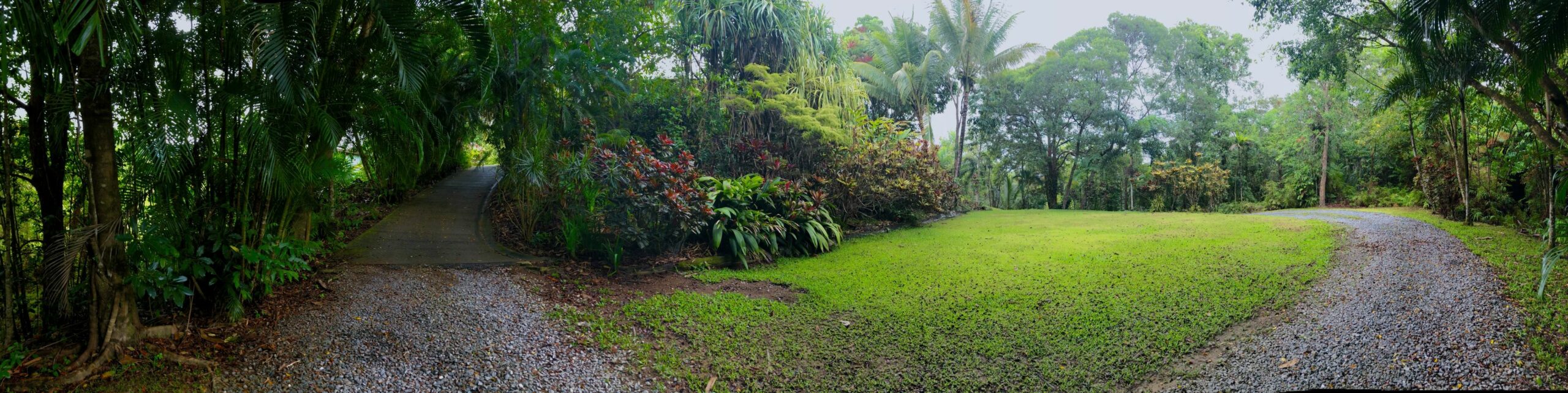 Daintree Manor Bed & Breakfast