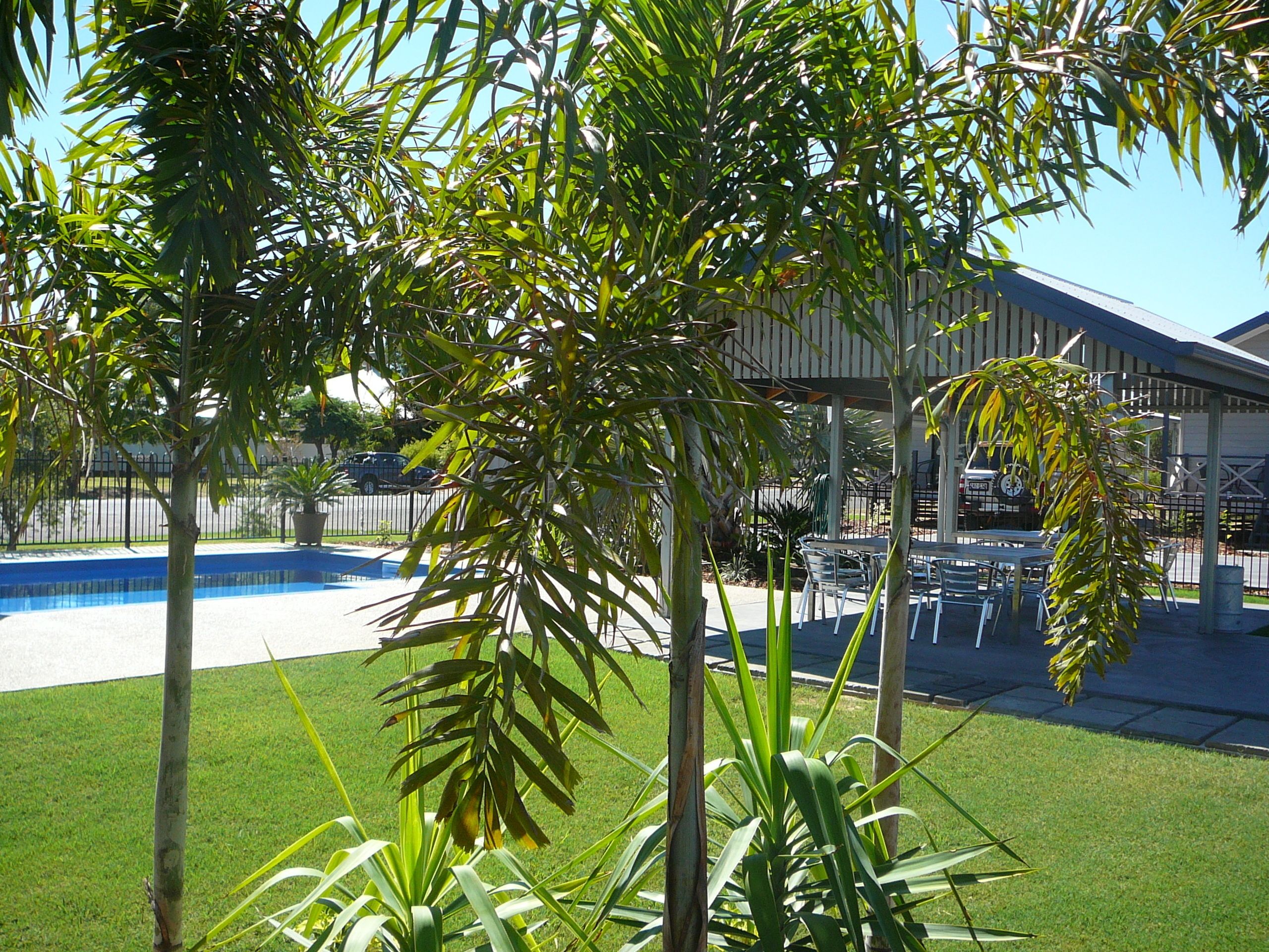 Barcaldine Country Motor Inn