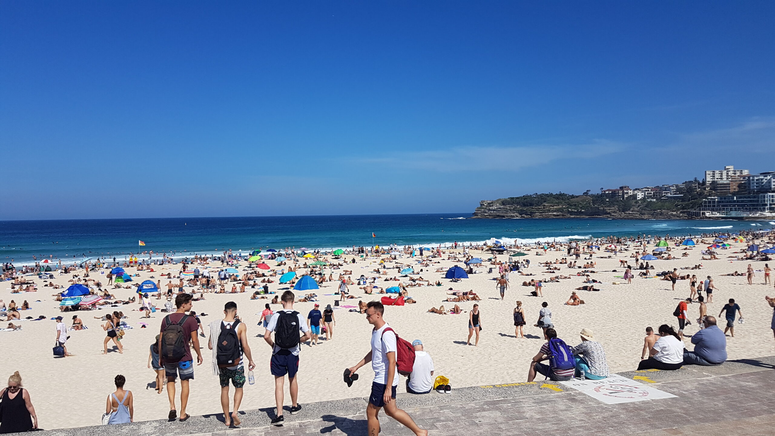 SYDNEY SAMPLER with BONDI BEACH Half Day Tour