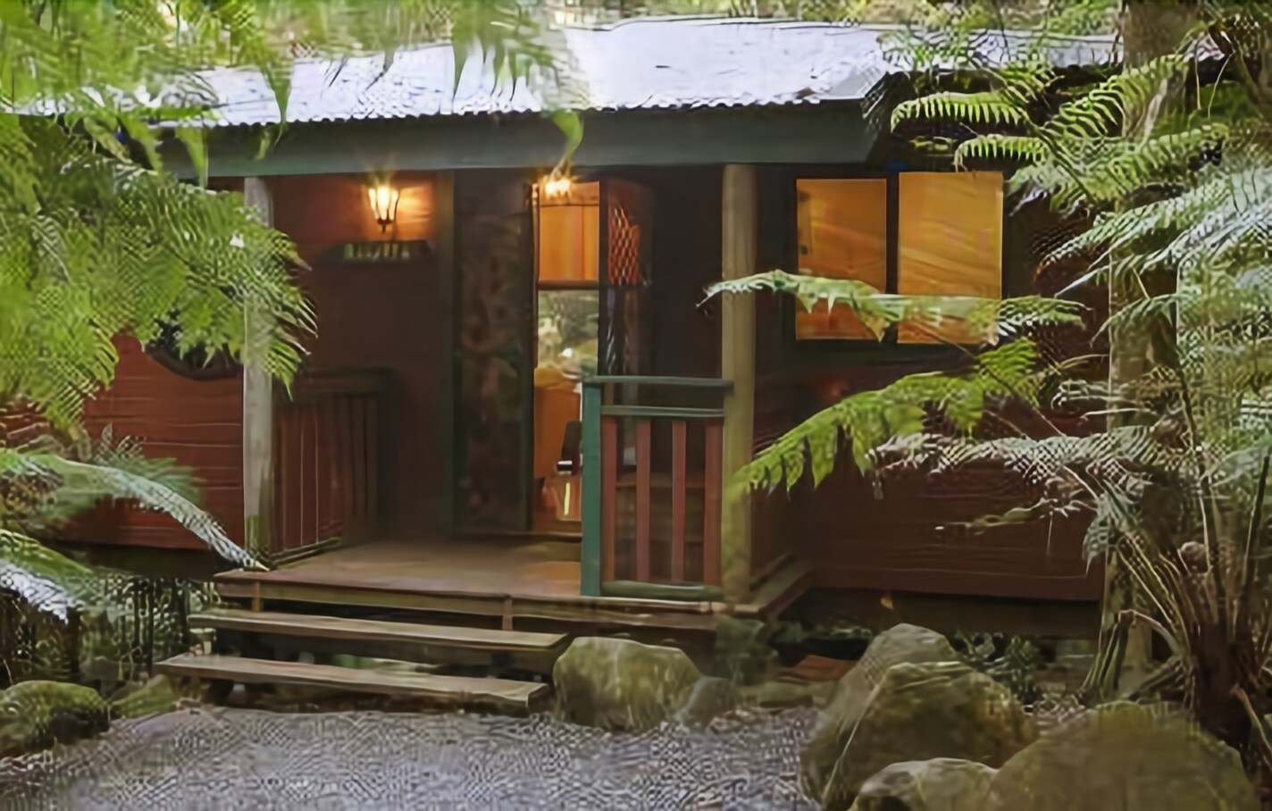 Springbrook Lyrebird Retreat