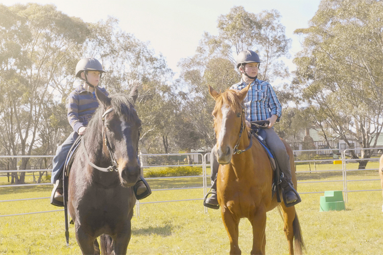 50min General Riding Lesson – Woodlands Lodge