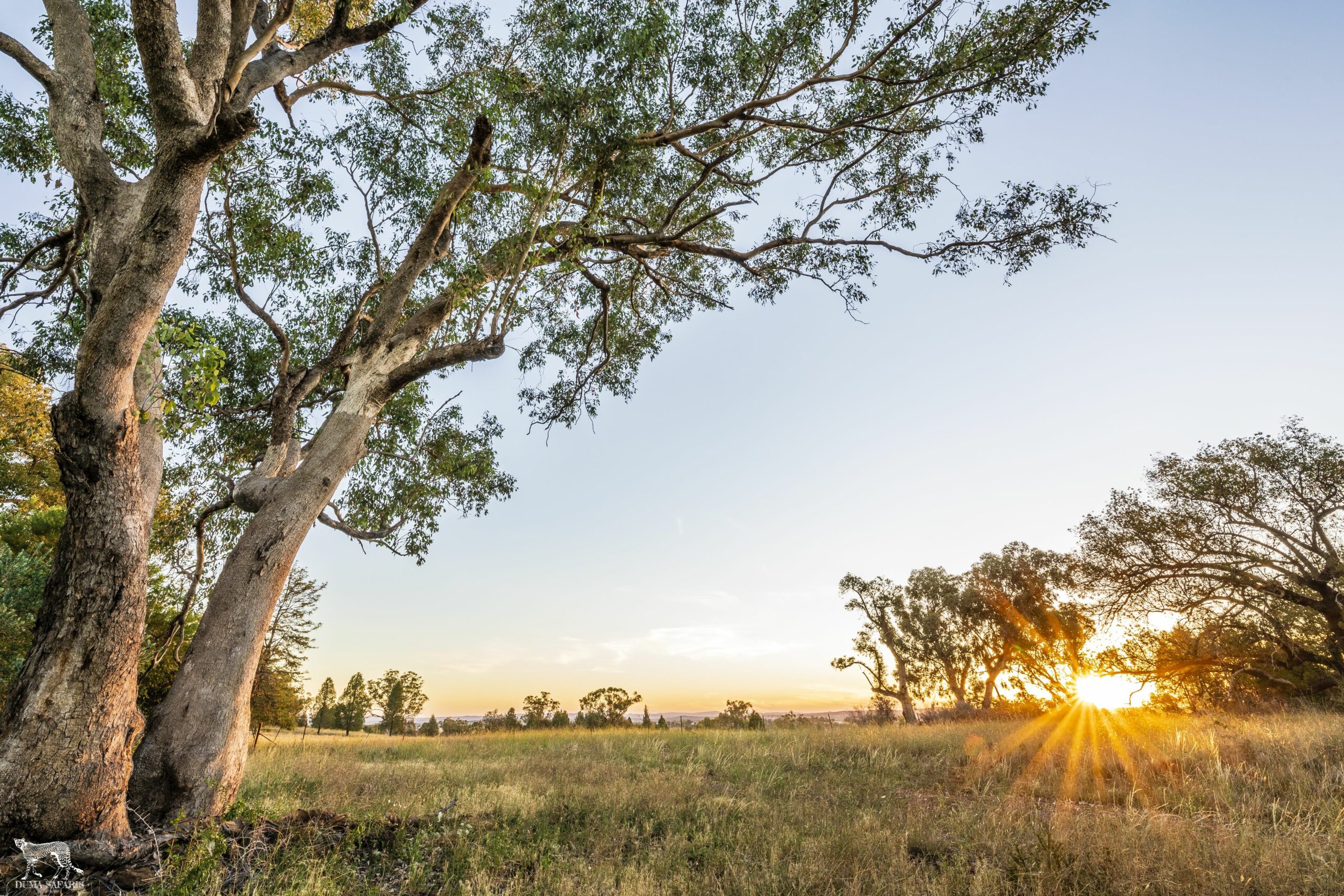 Bulwarra Accommodation - Heritage Studio