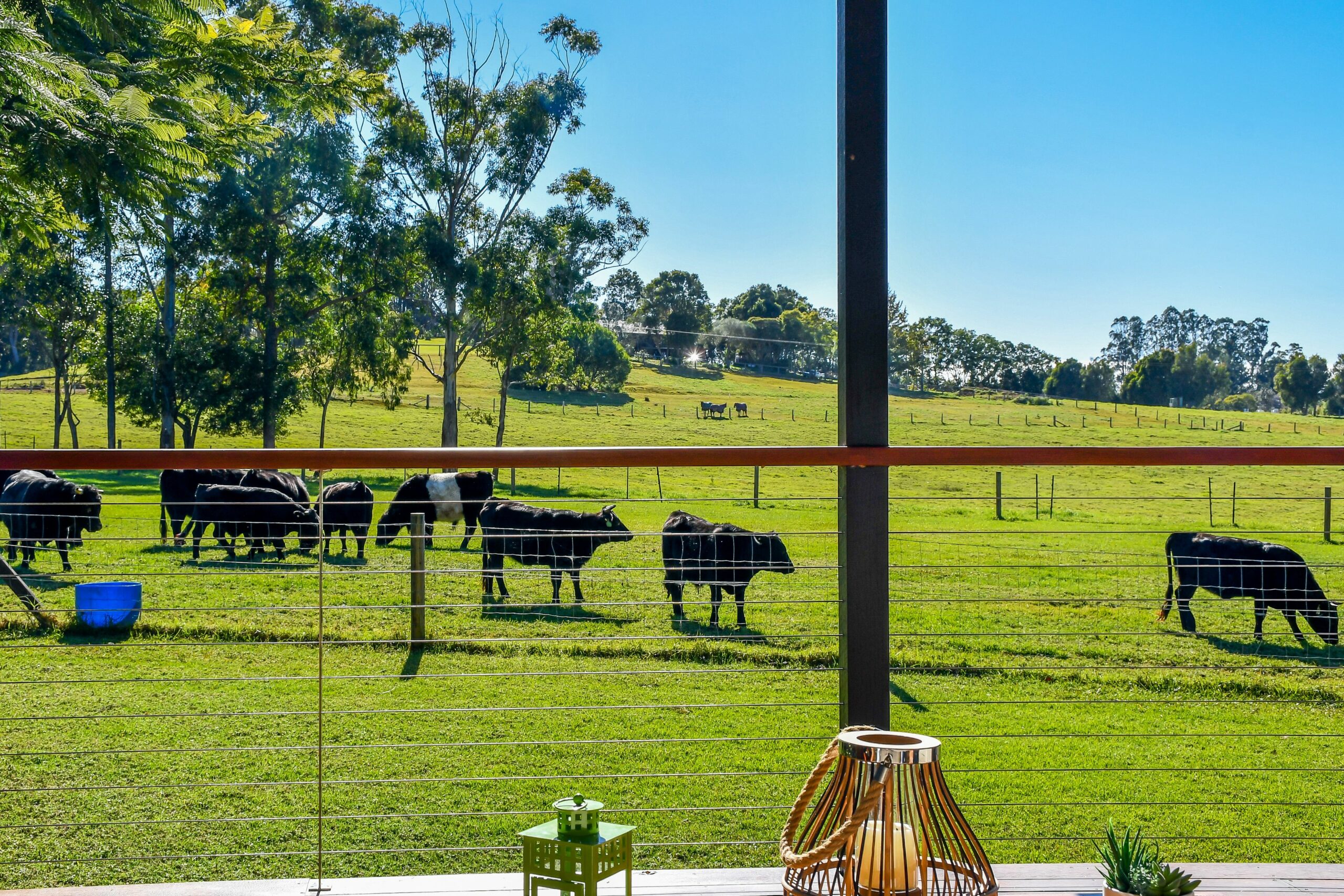 Curra Homestead Maleny