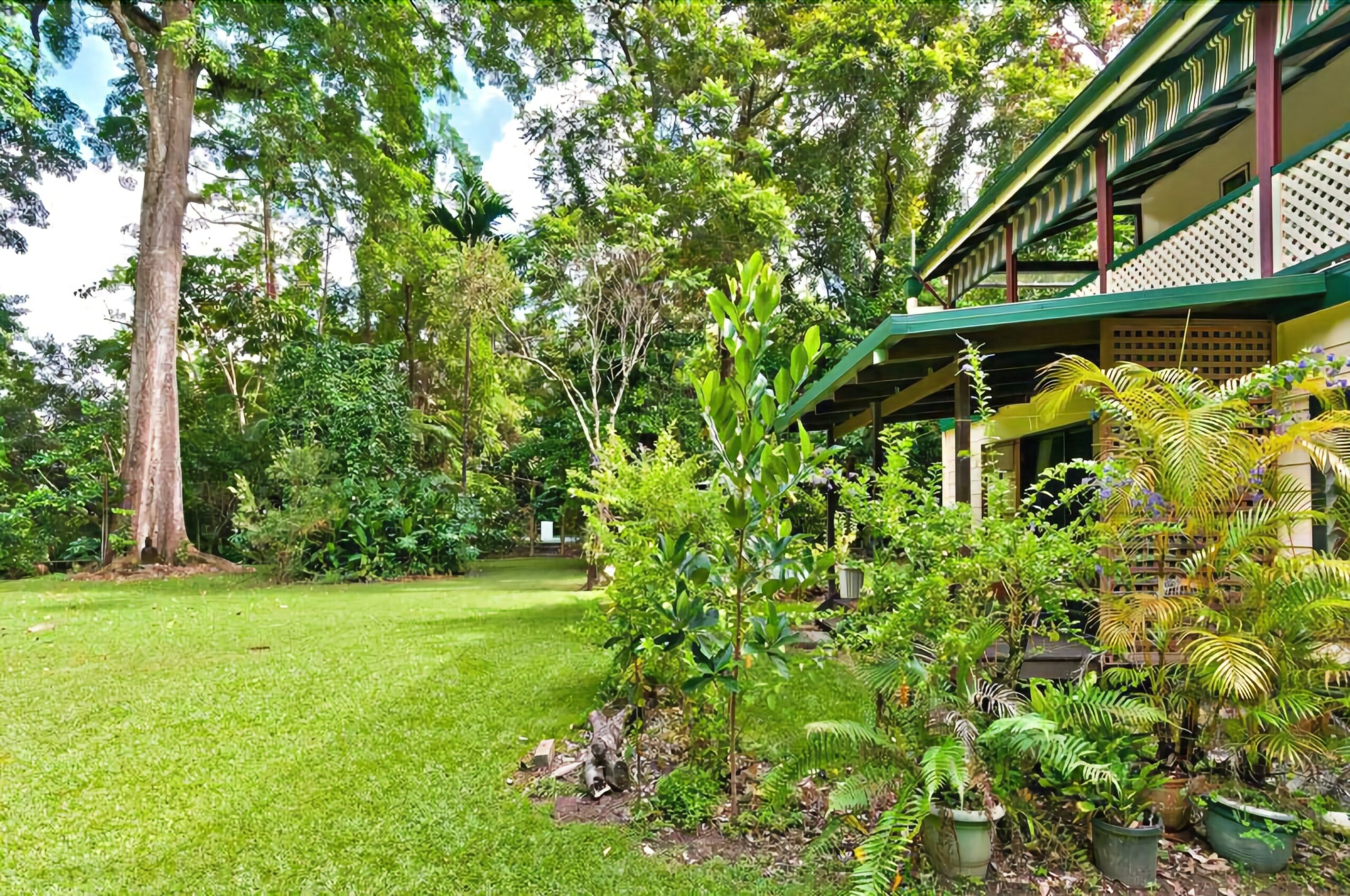 Red Mill House in Daintree