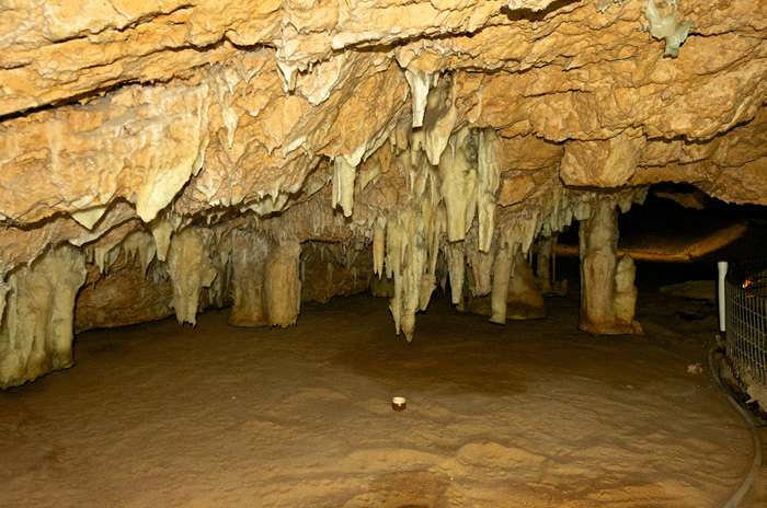 Yanchep National Park & Crystal Cave