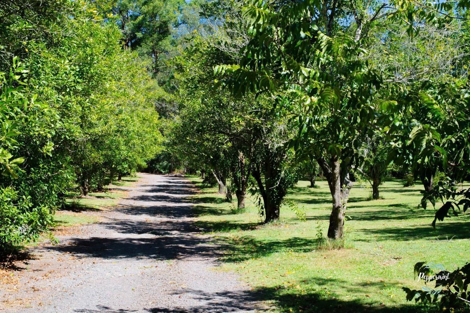 Crookneck Retreat