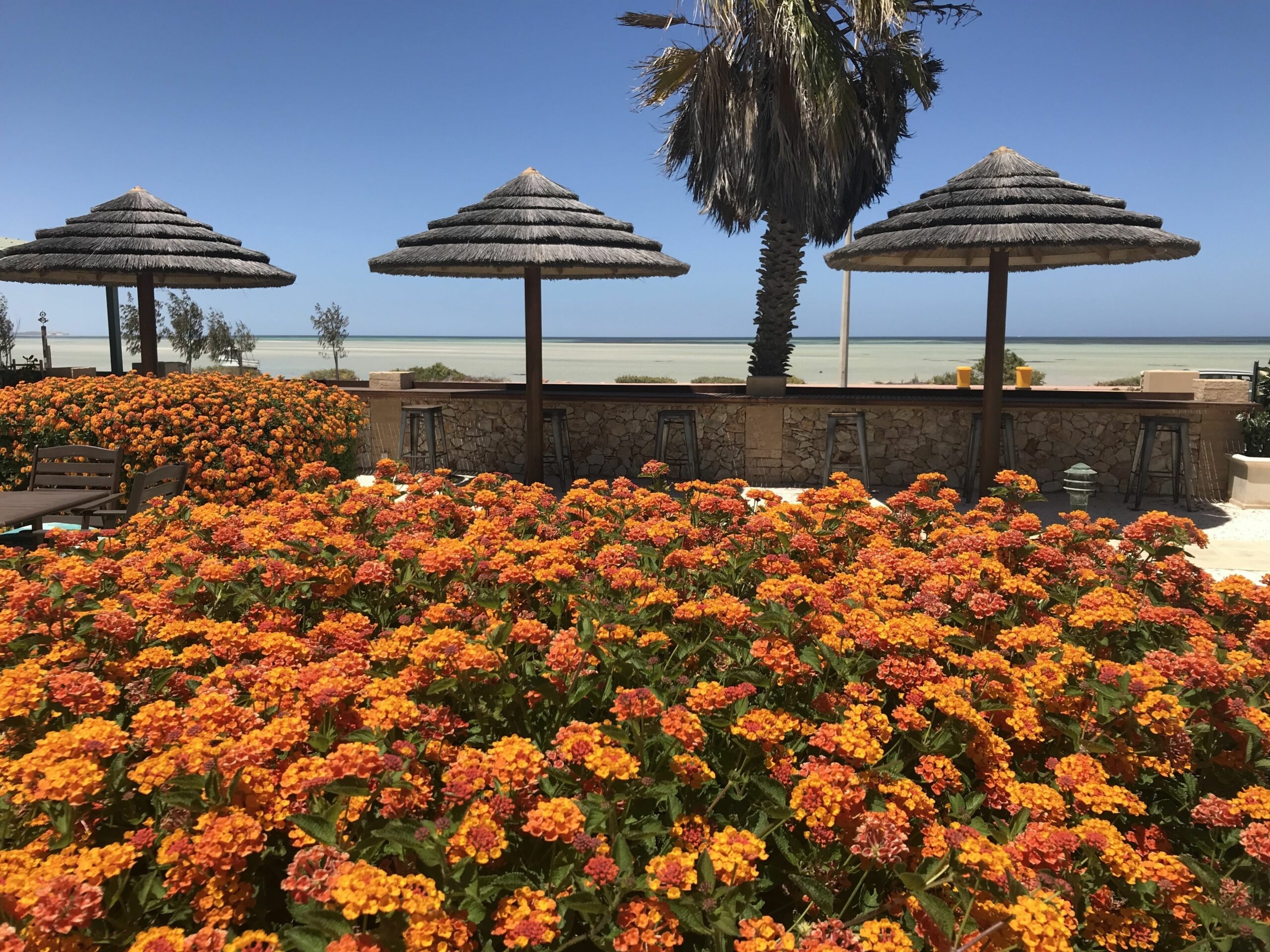 Shark Bay Seafront Apartments