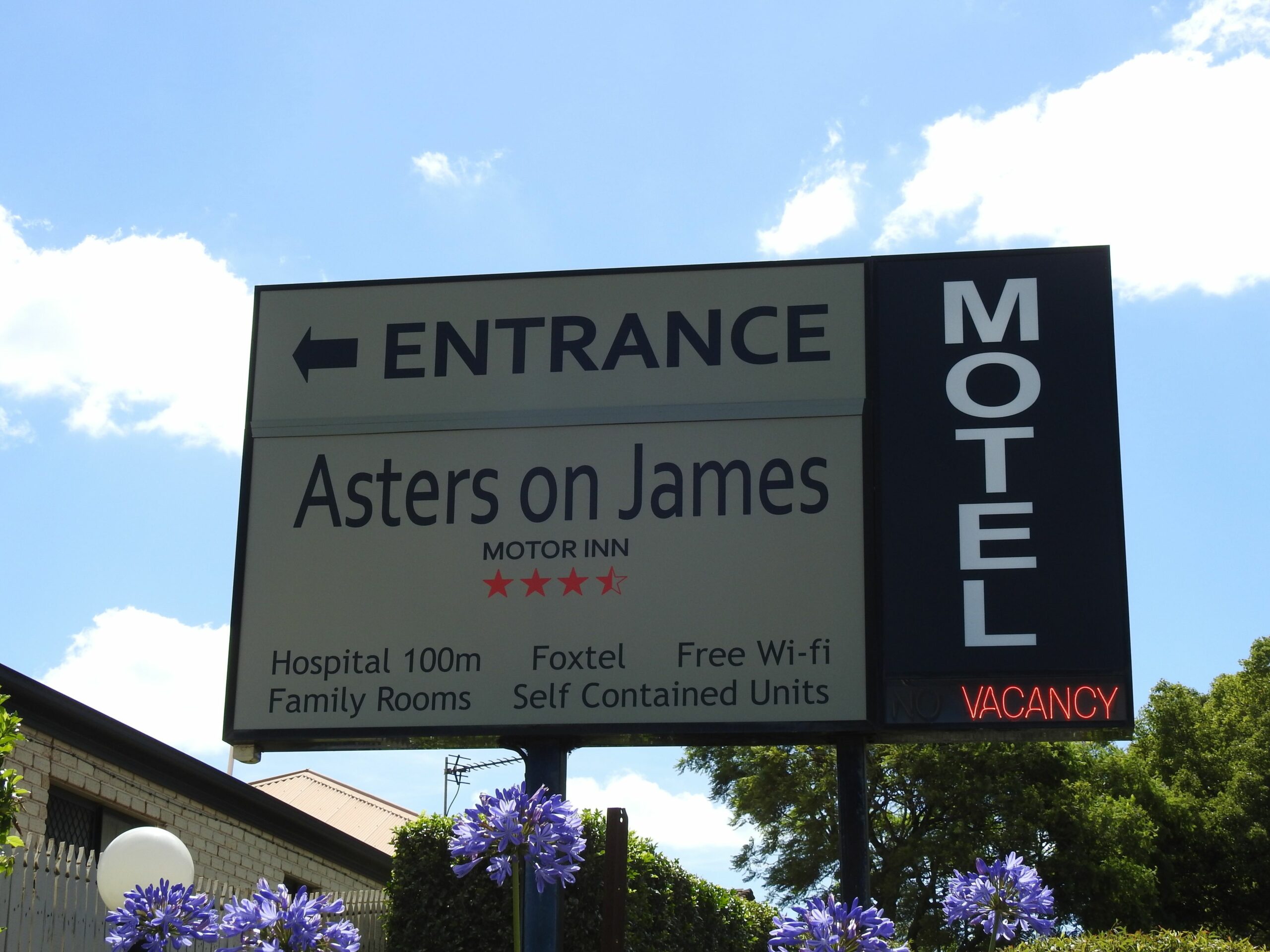 Asters on James Motor Inn