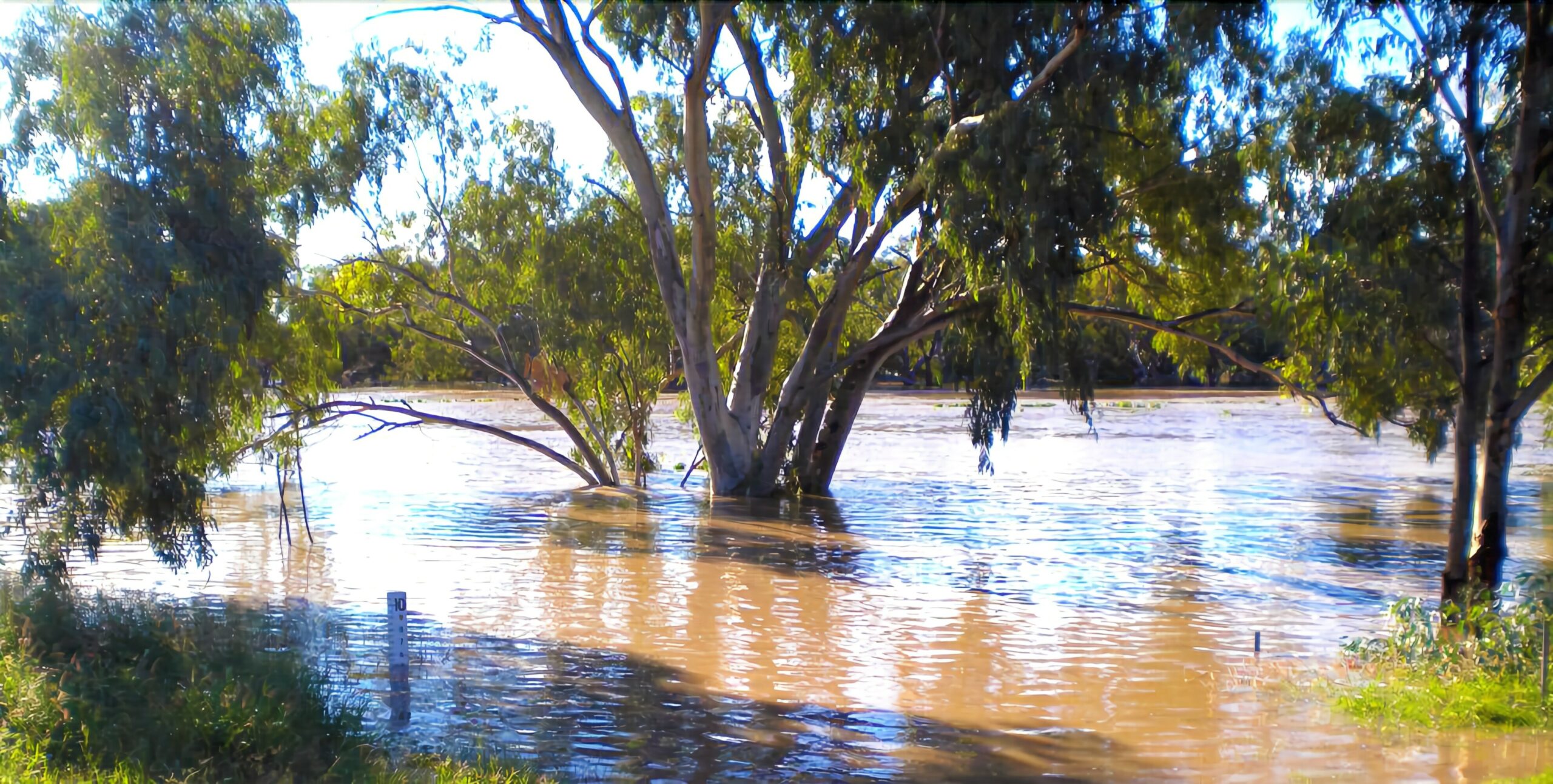 Warrego Hotel Motel Cunnamulla