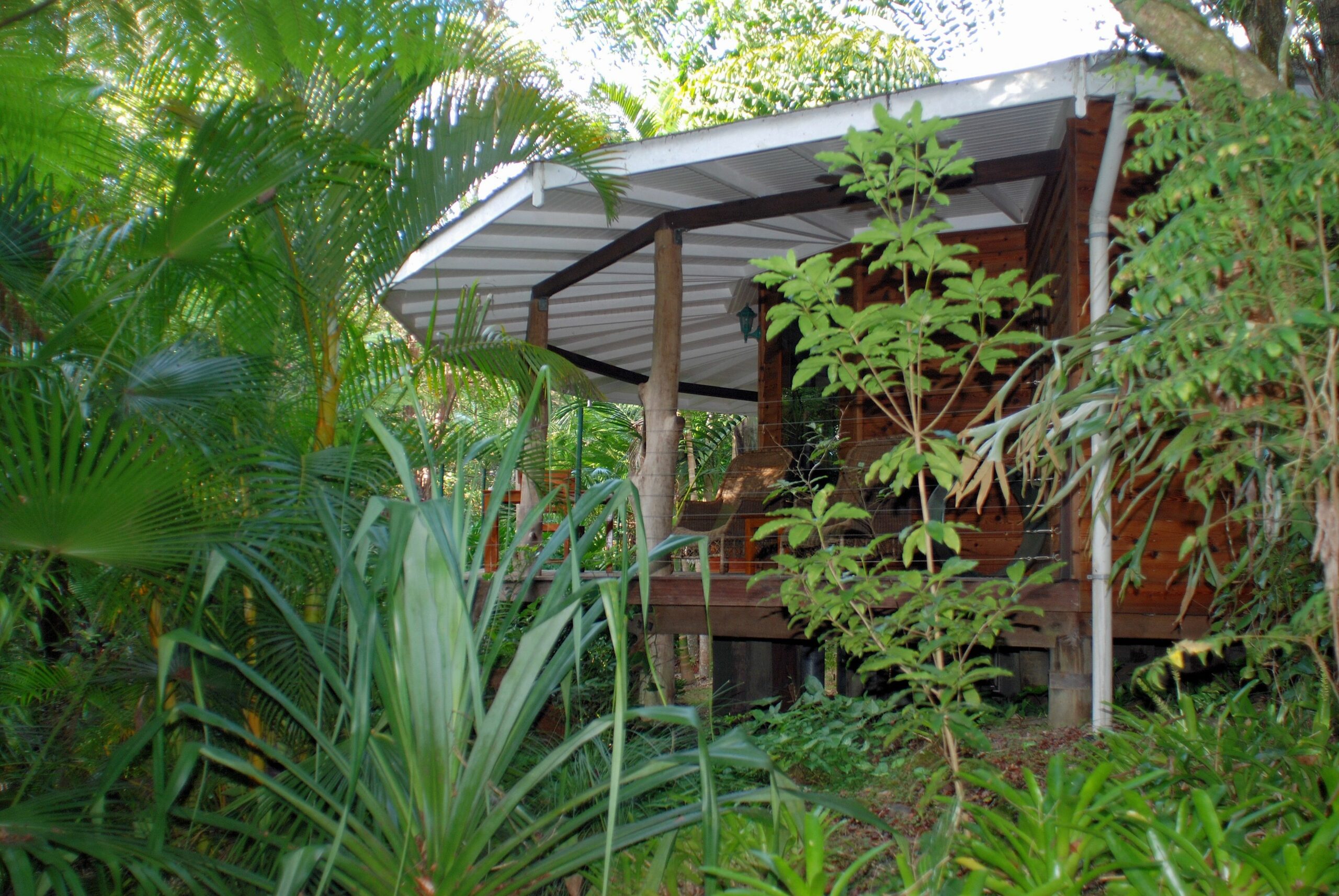 Mt Warning Rainforest Retreat