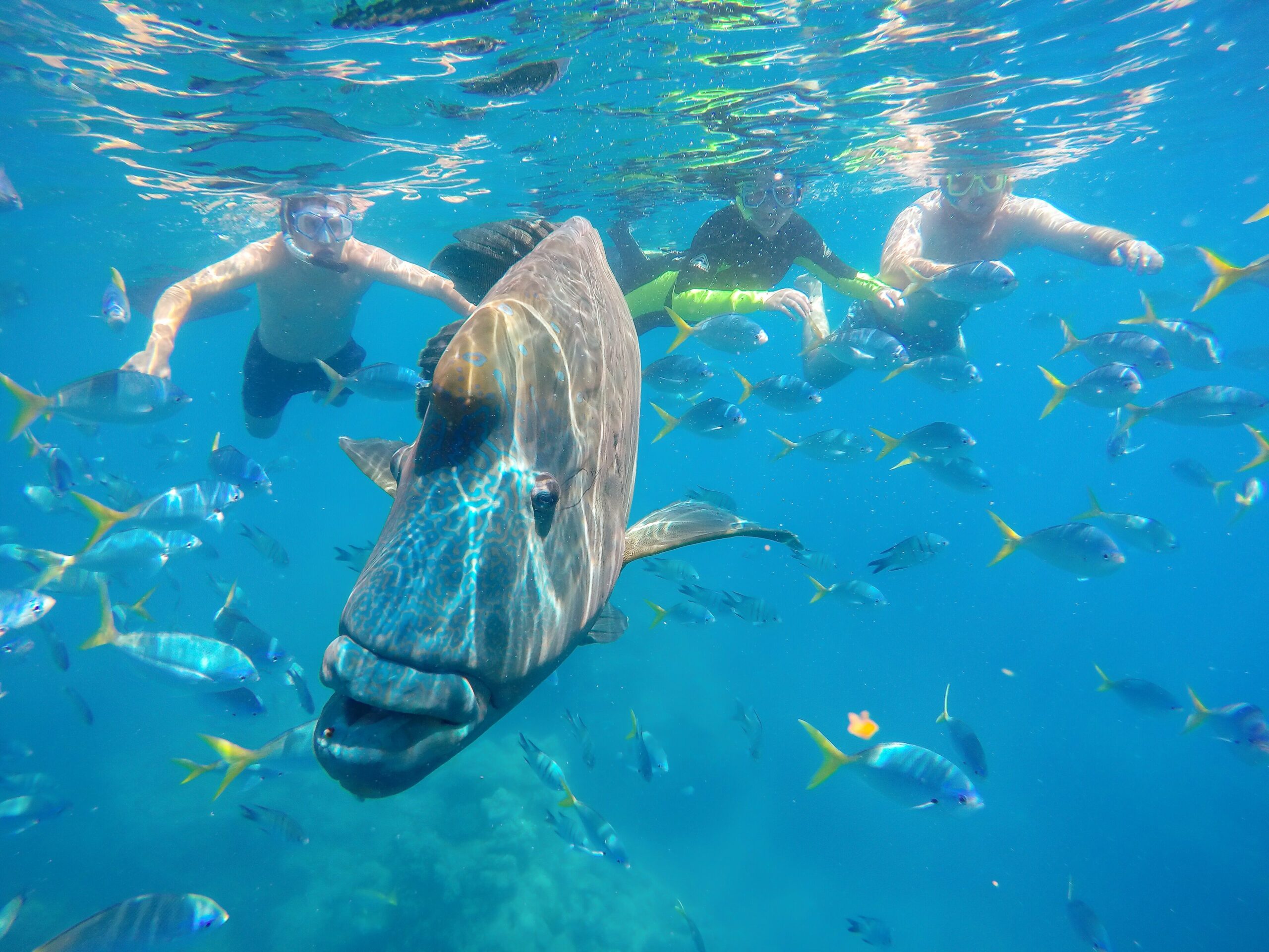 Peninsula Airlie Beach