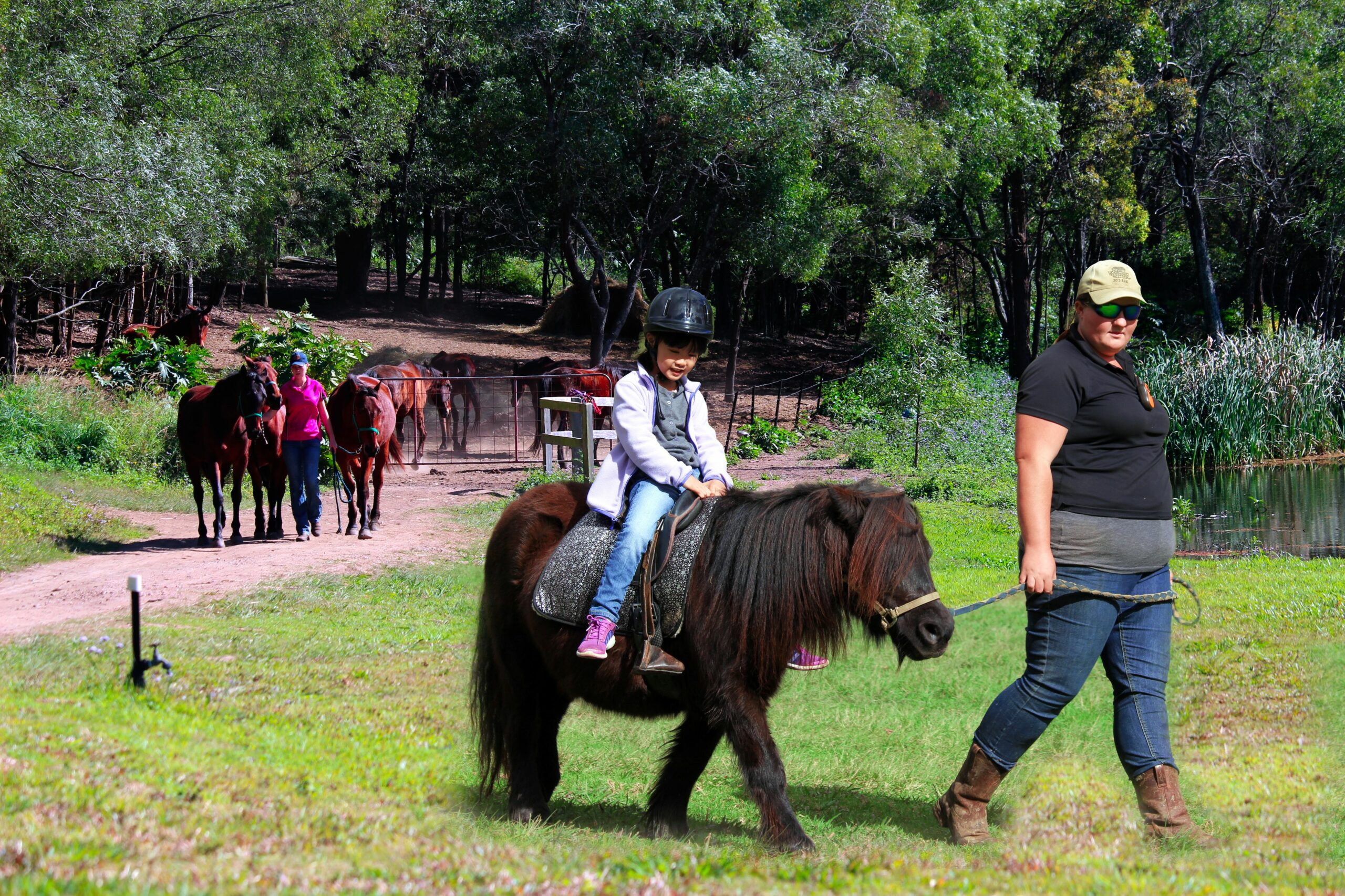 Cedar Creek Lodges