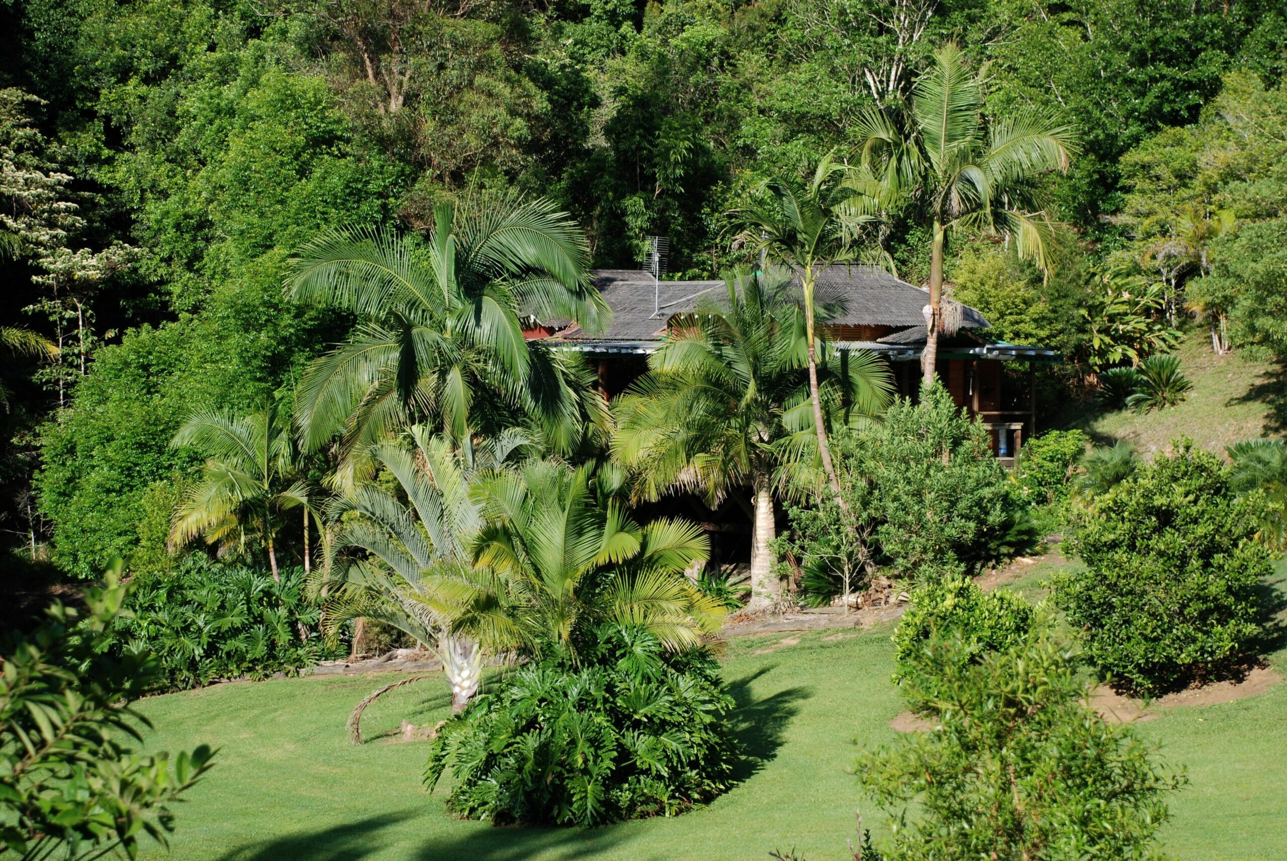 Mt Warning Rainforest Retreat