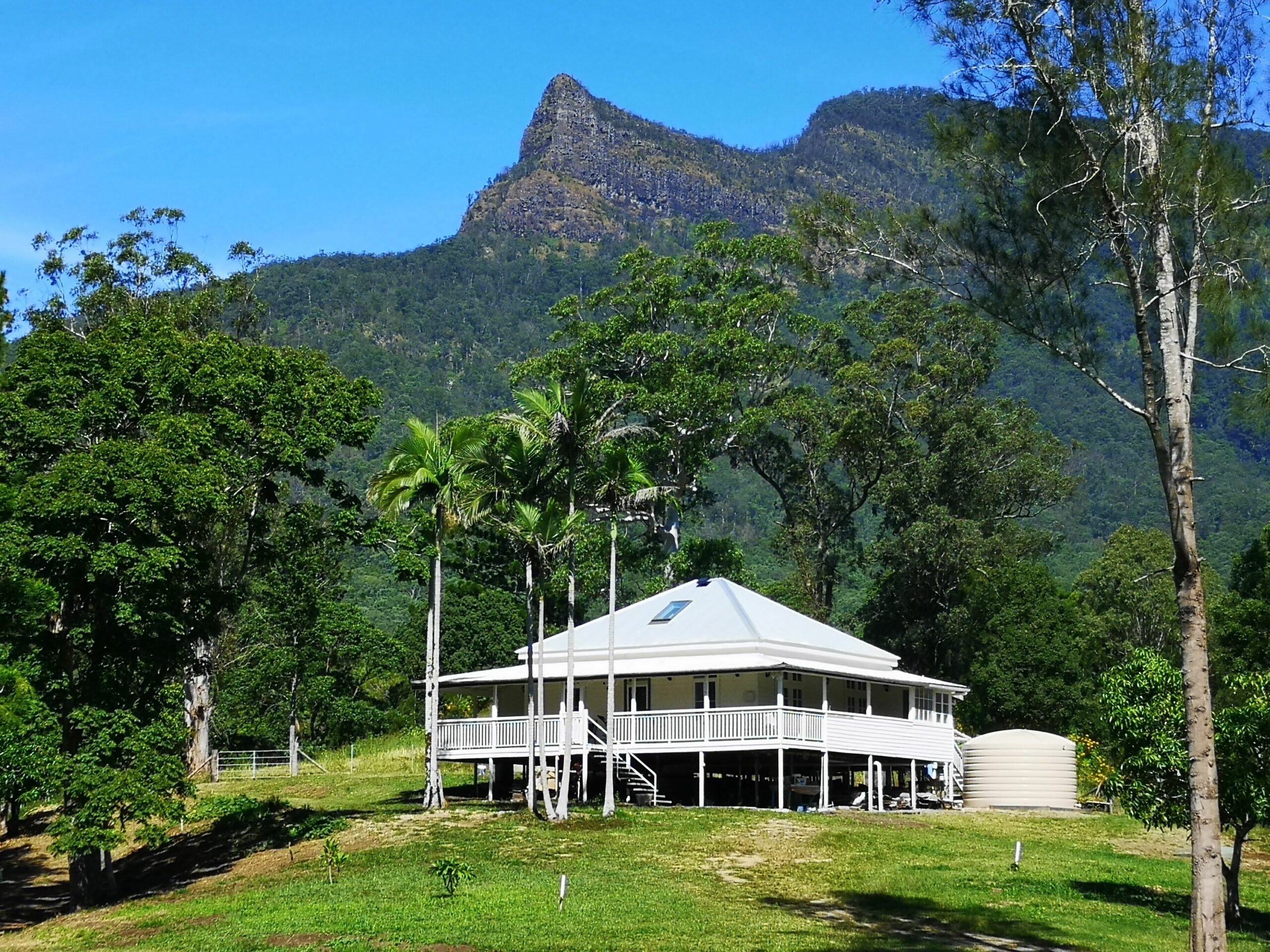 Mariefields Homestead-  Animals, Birds ,Wildlife ,Rainforest & Par 3 Golf