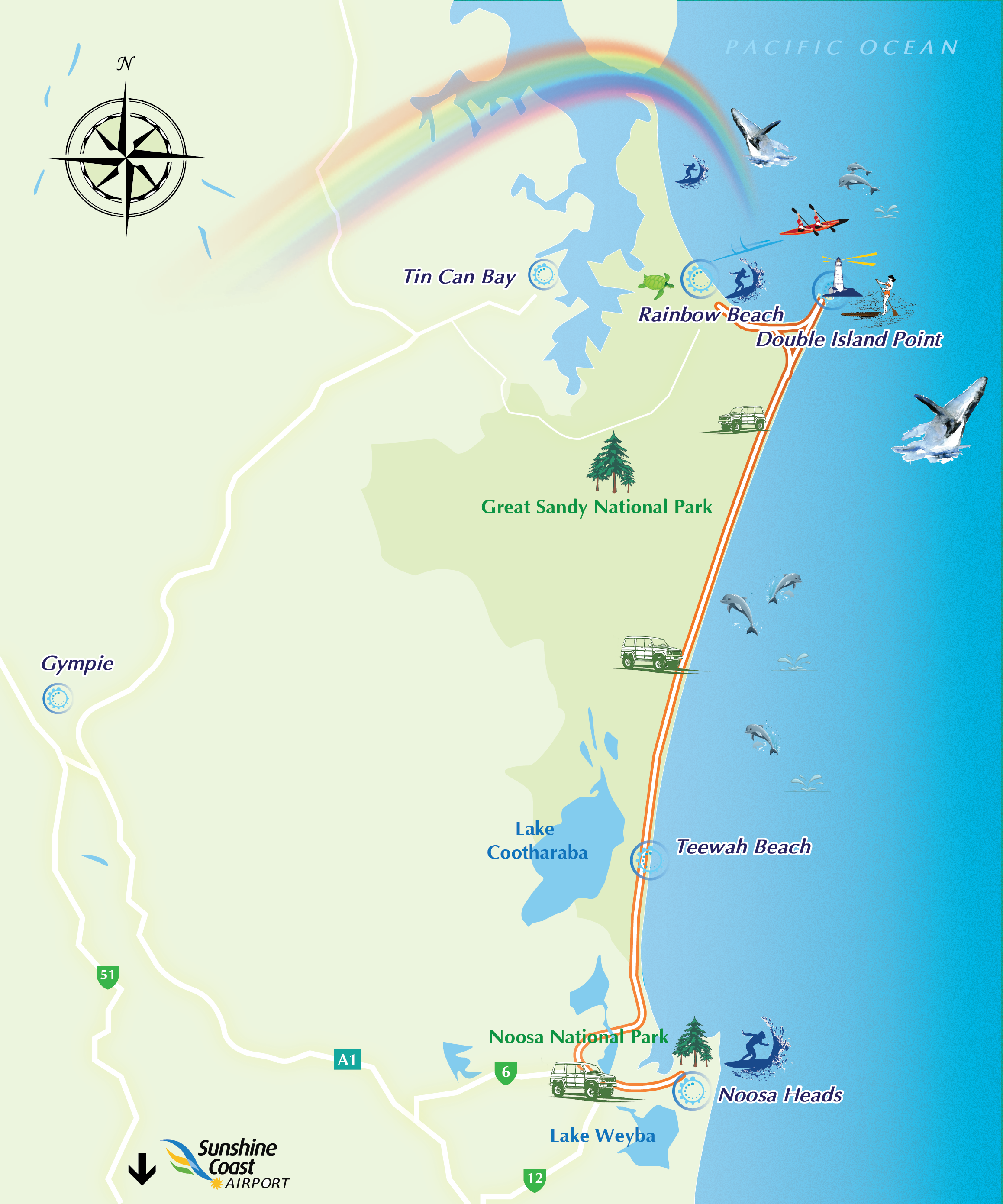 Learn to Surf Australia’s Longest Wave + Great Beach Drive Adventure - Noosa  day trip