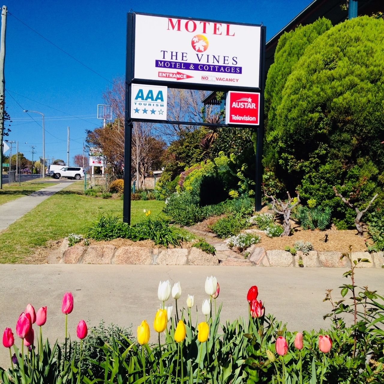 The Vines Motel and Cottages