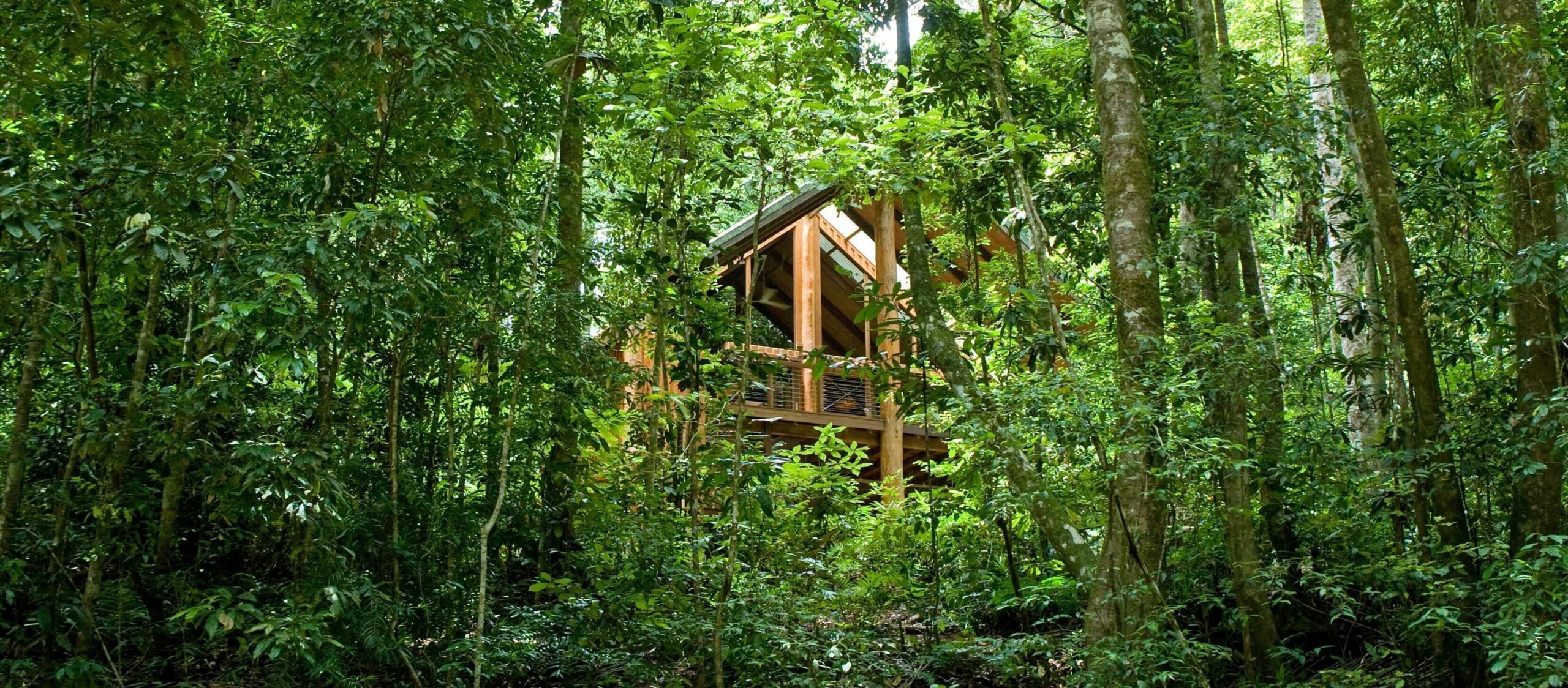 The Canopy Rainforest Treehouses and Wildlife Sanctuary