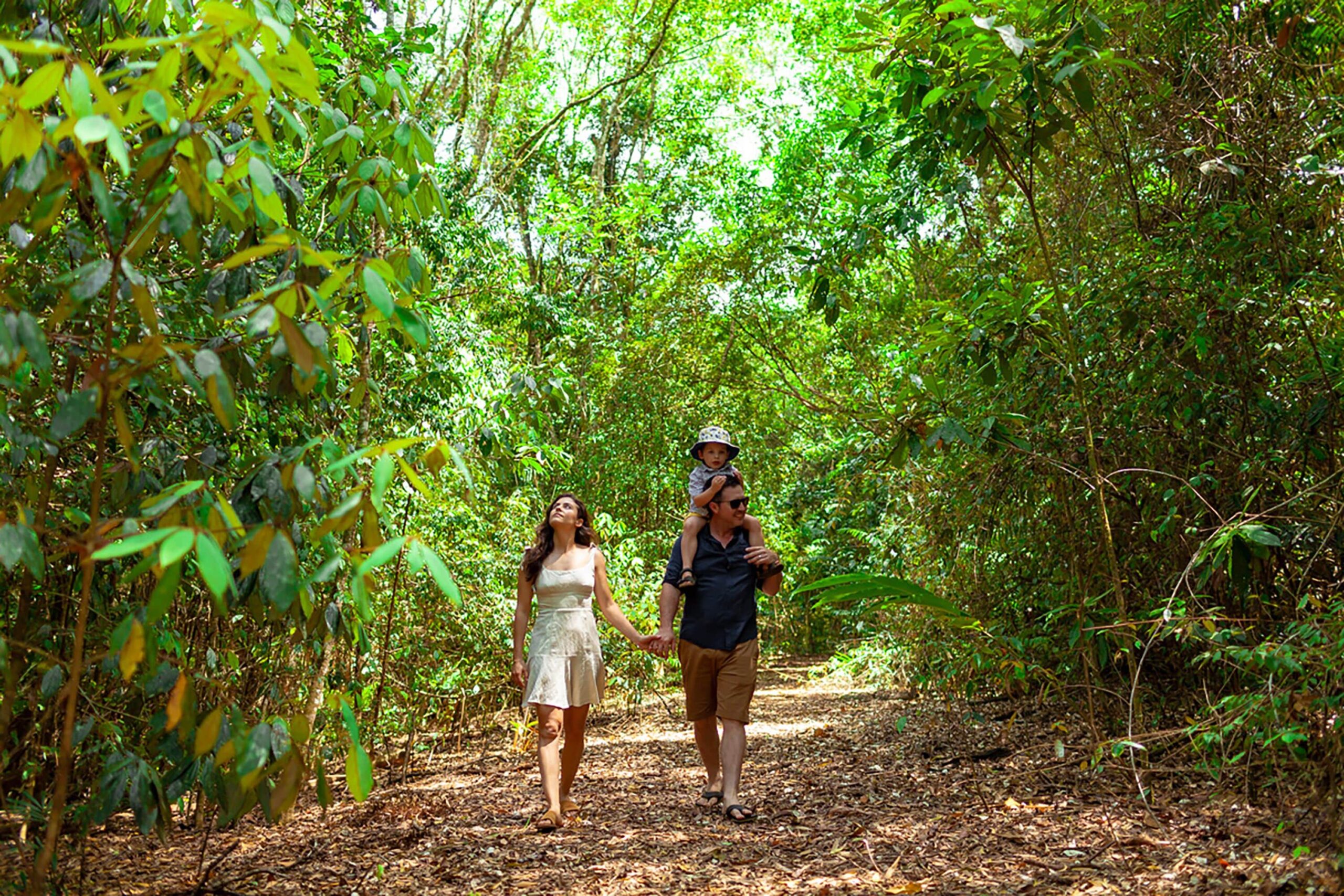 The Canopy Rainforest Treehouses and Wildlife Sanctuary