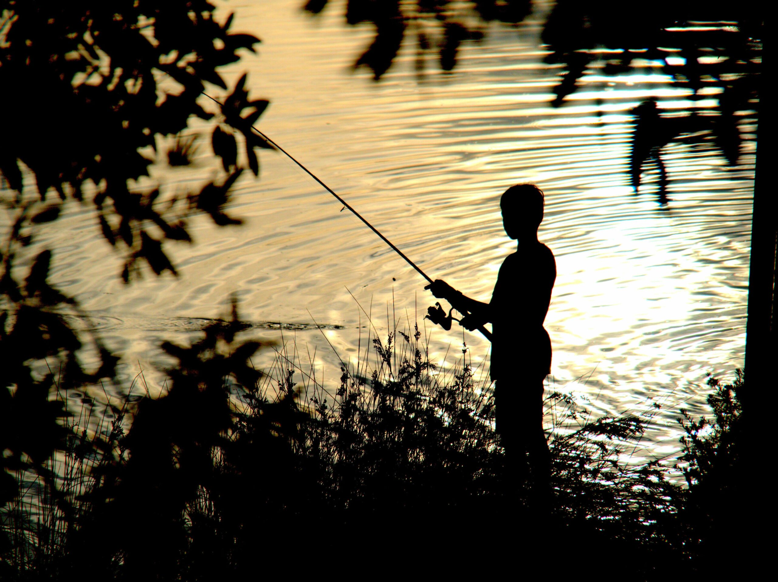 Wooli River Lodges