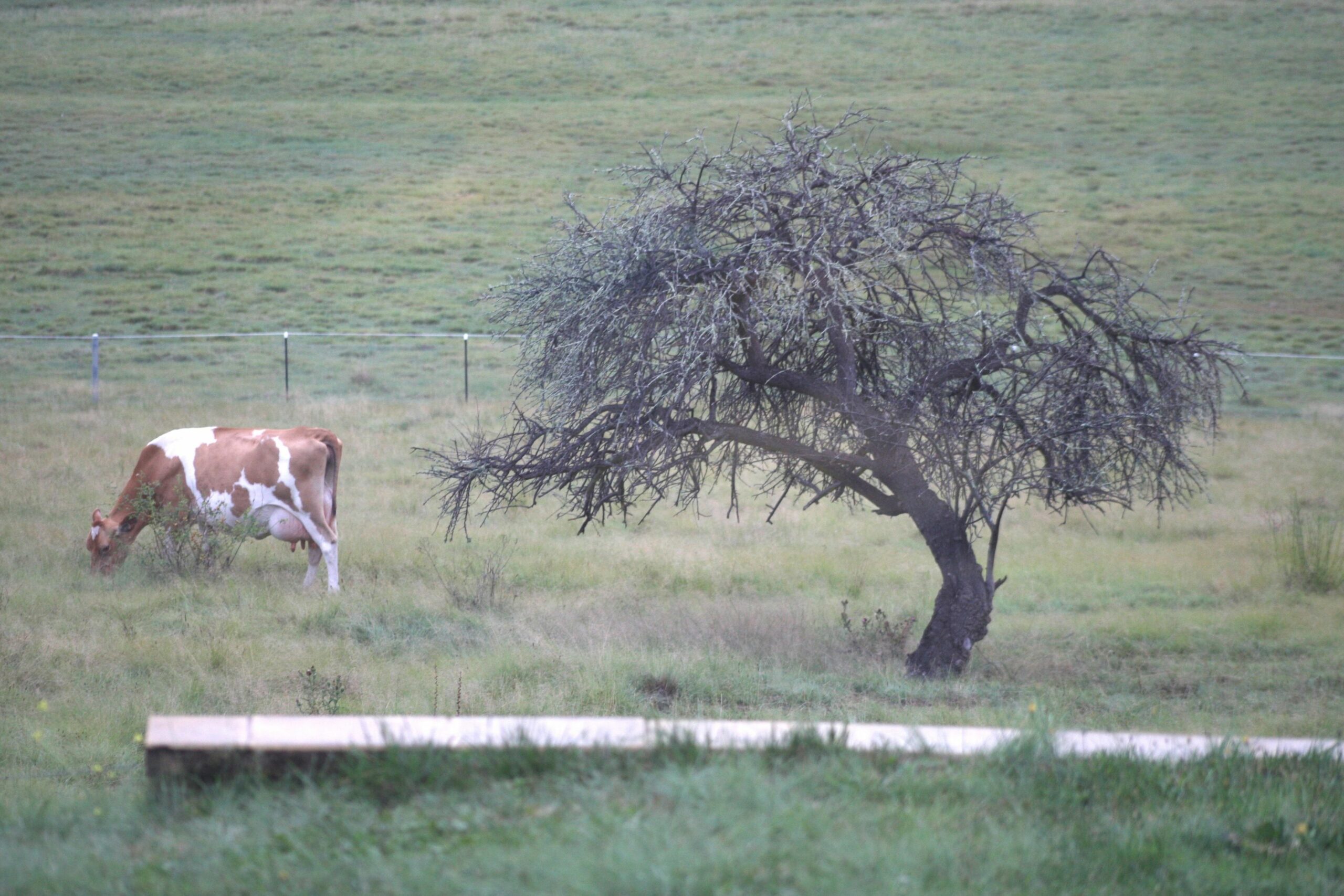 Donegal Farmstay