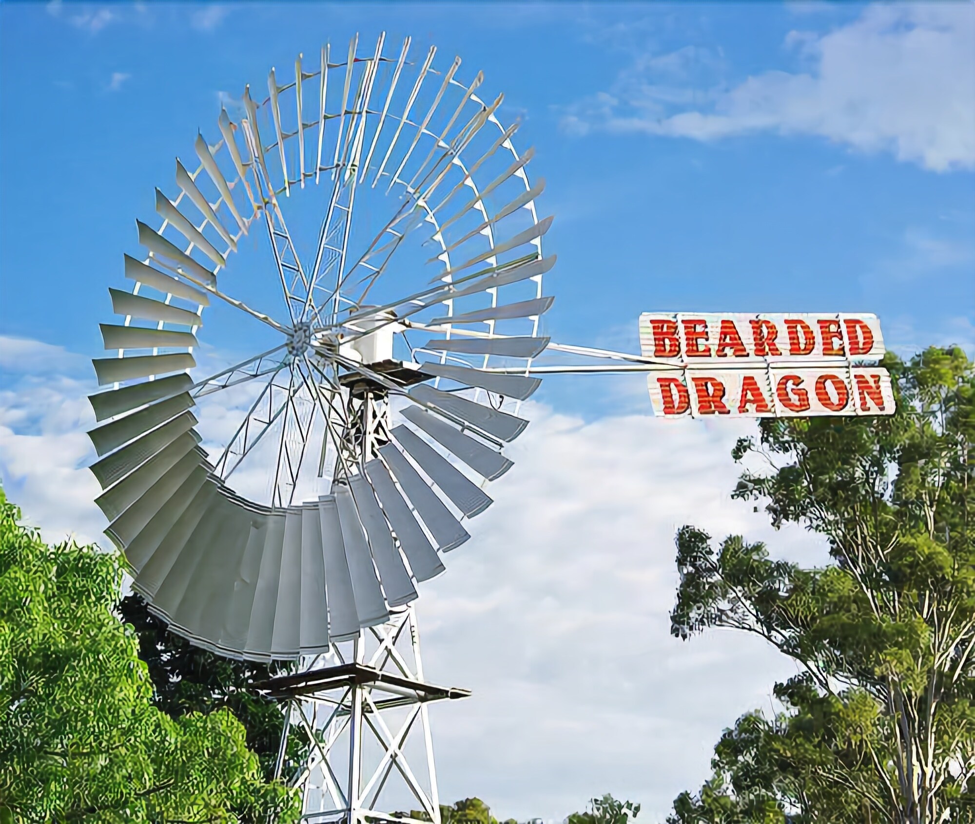 The Bearded Dragon Boutique Hotel