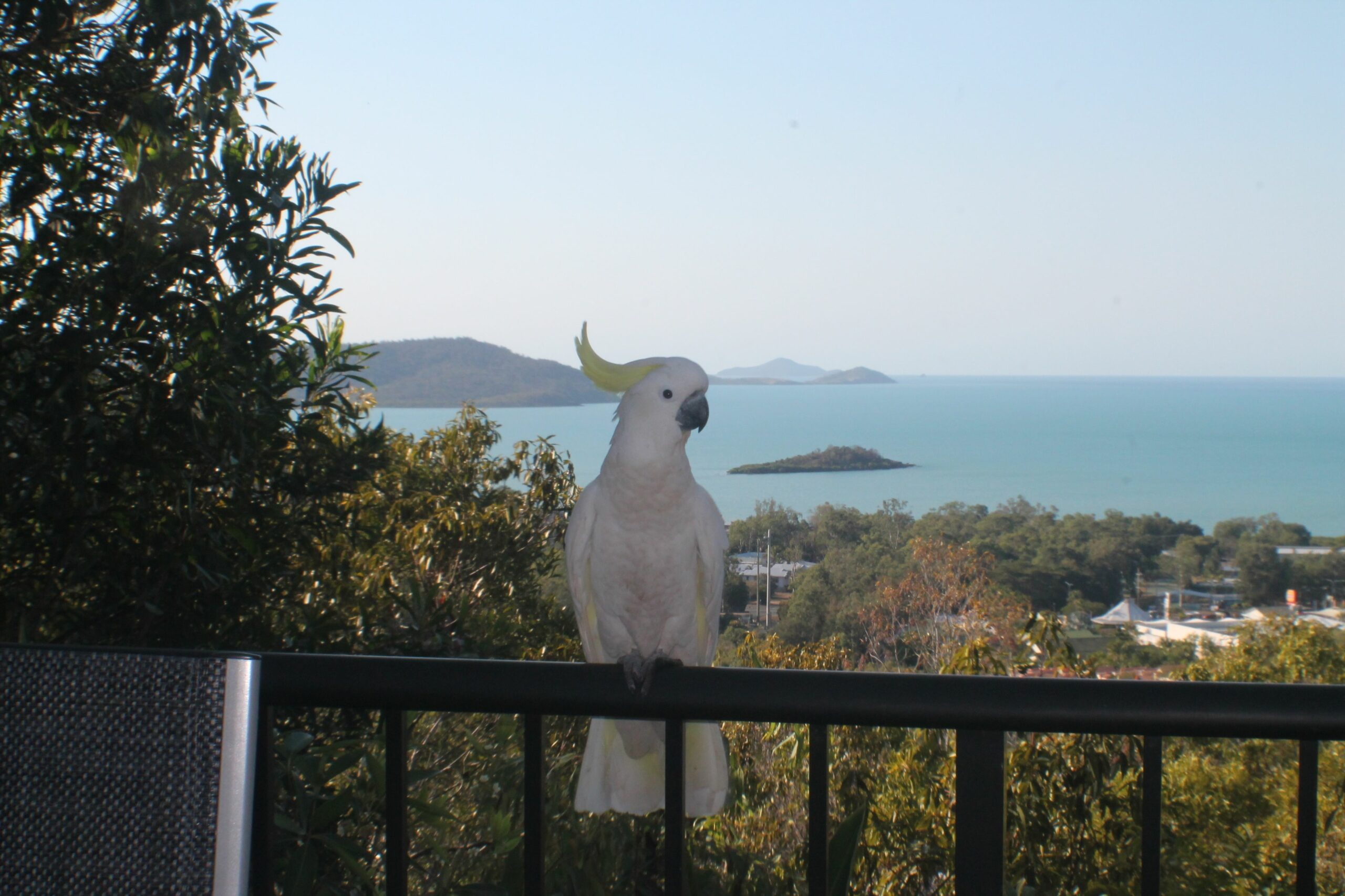 Whitsundays Rainforest Retreat