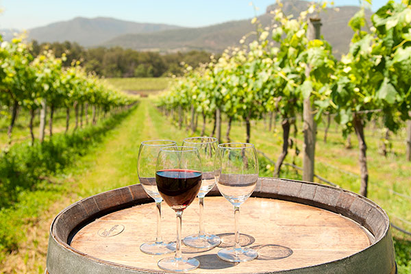 Hunter Valley Private Full Day Tour