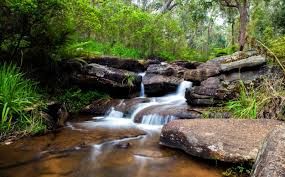 Araluen Botanic Park, Wave Rock, and York full day private tour