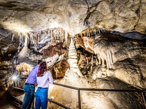 Jenolan Caves Blue Mountains  Day Adventure + River cruise