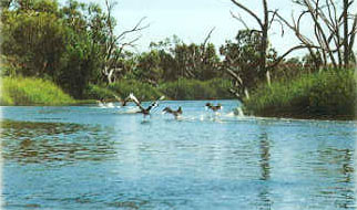 7 Days Broken Hill Tibooburra White Cliffs Bourke Darling River Macquarie Marshes NSW Outback