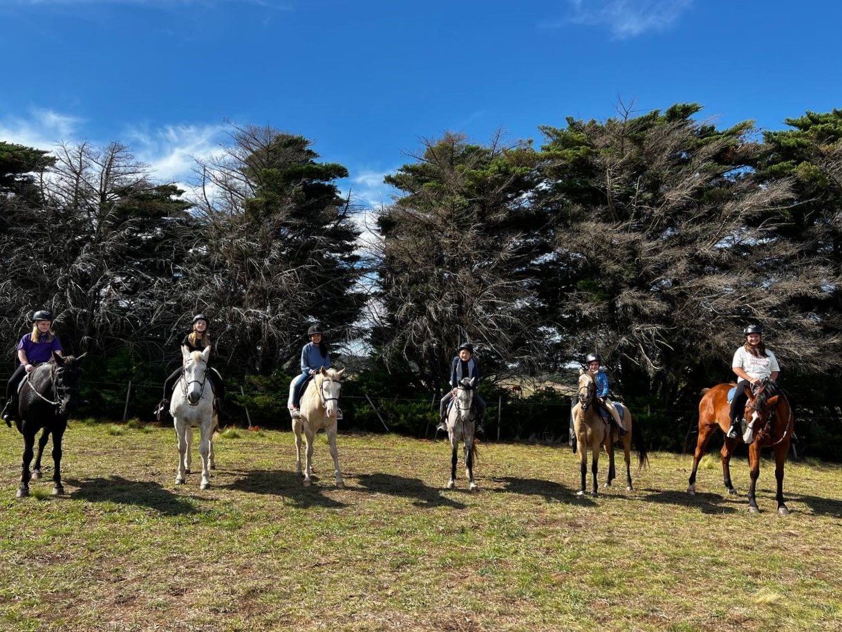 Horse Riding Party  - For Birthdays And Special Occasions - Woodlands Lodge